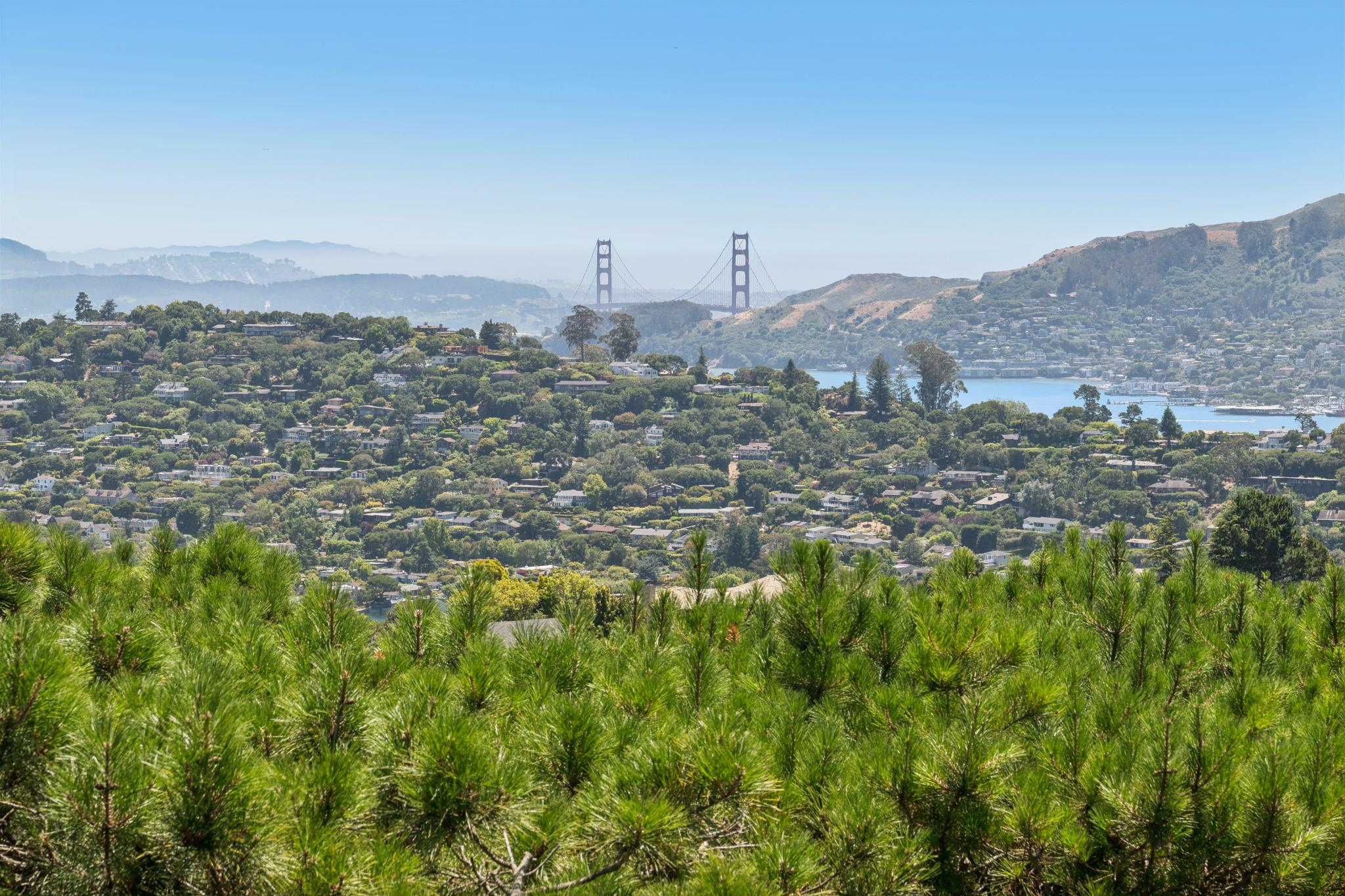  Opportunity Awaits Trophy Tiburon Estate - 物件實景