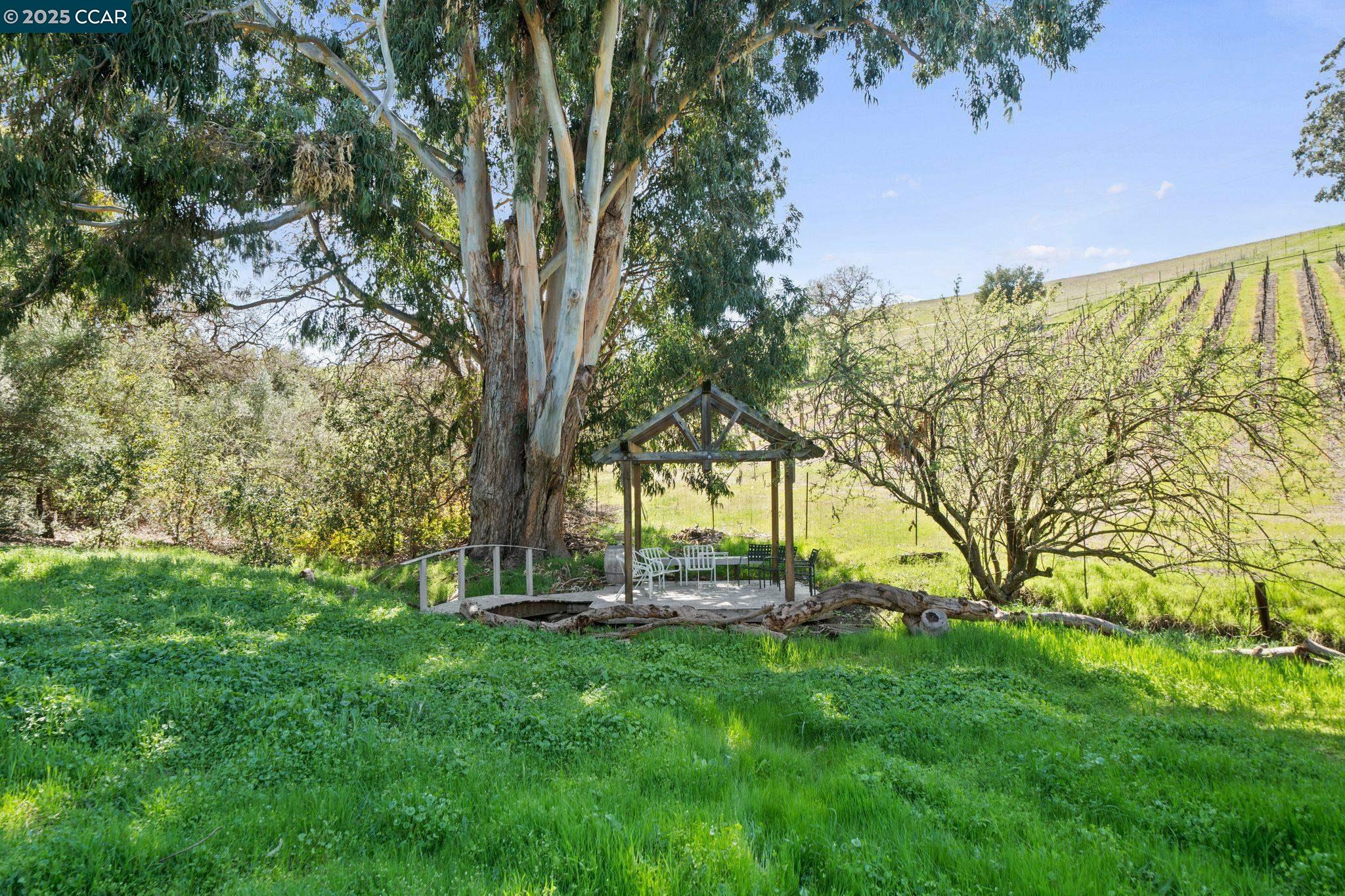 Livermore, California, 94550, United States, 5 Bedrooms Bedrooms, ,4 BathroomsBathrooms,Residential,For Sale,1918486
