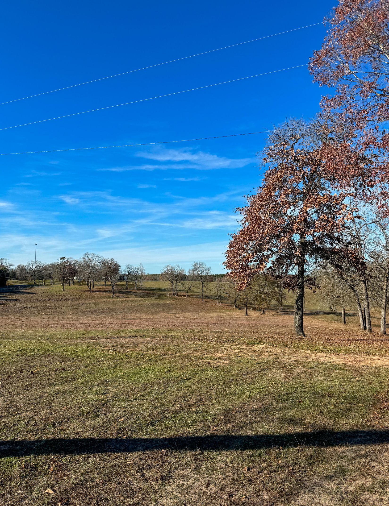 Bivins, Texas, 75551, United States, 3 Bedrooms Bedrooms, ,3 BathroomsBathrooms,Residential,For Sale,1915929