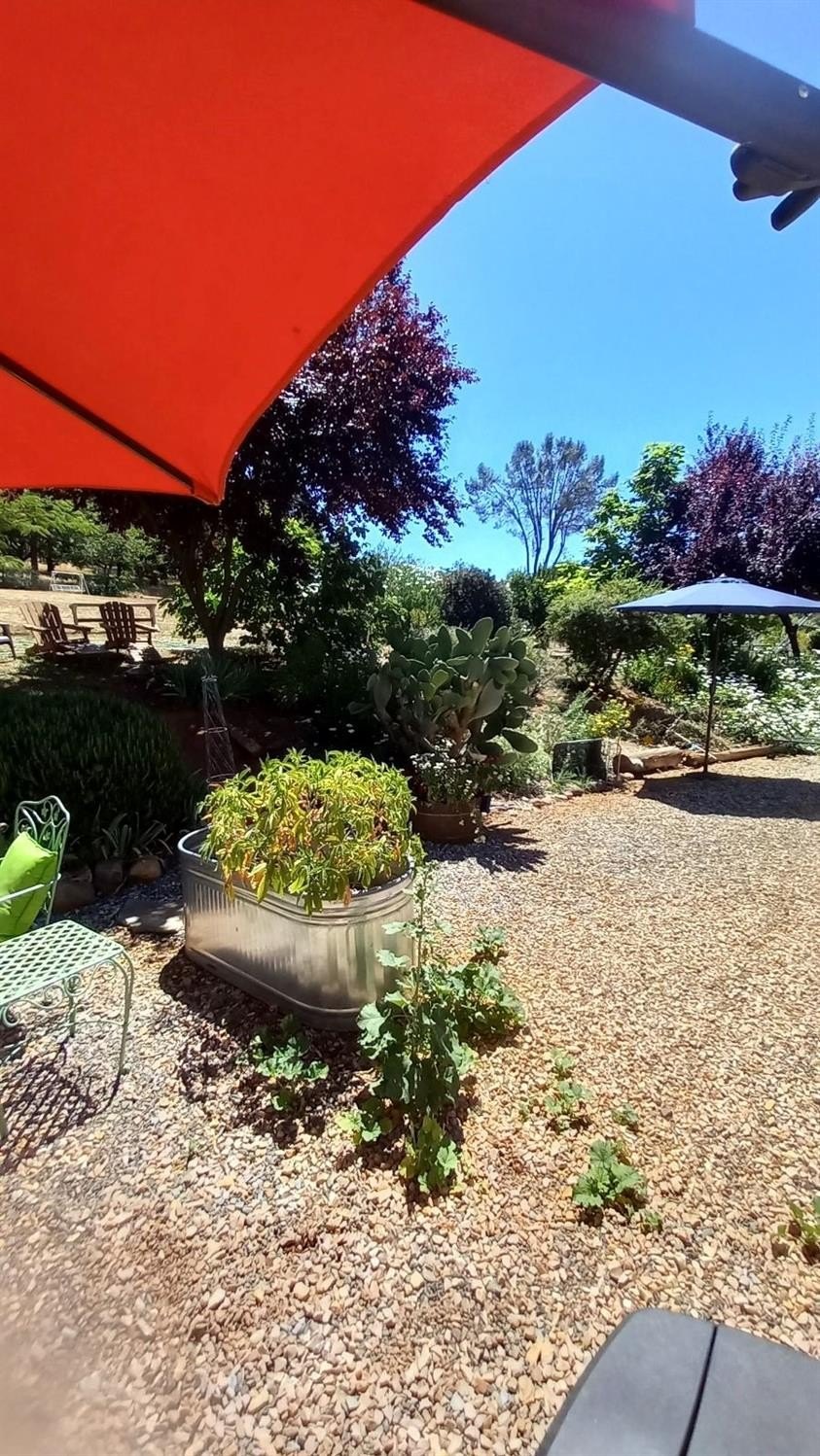 Mokelumne Hill, California, 95245, United States, 5 Bedrooms Bedrooms, ,3 BathroomsBathrooms,Residential,For Sale,1914362