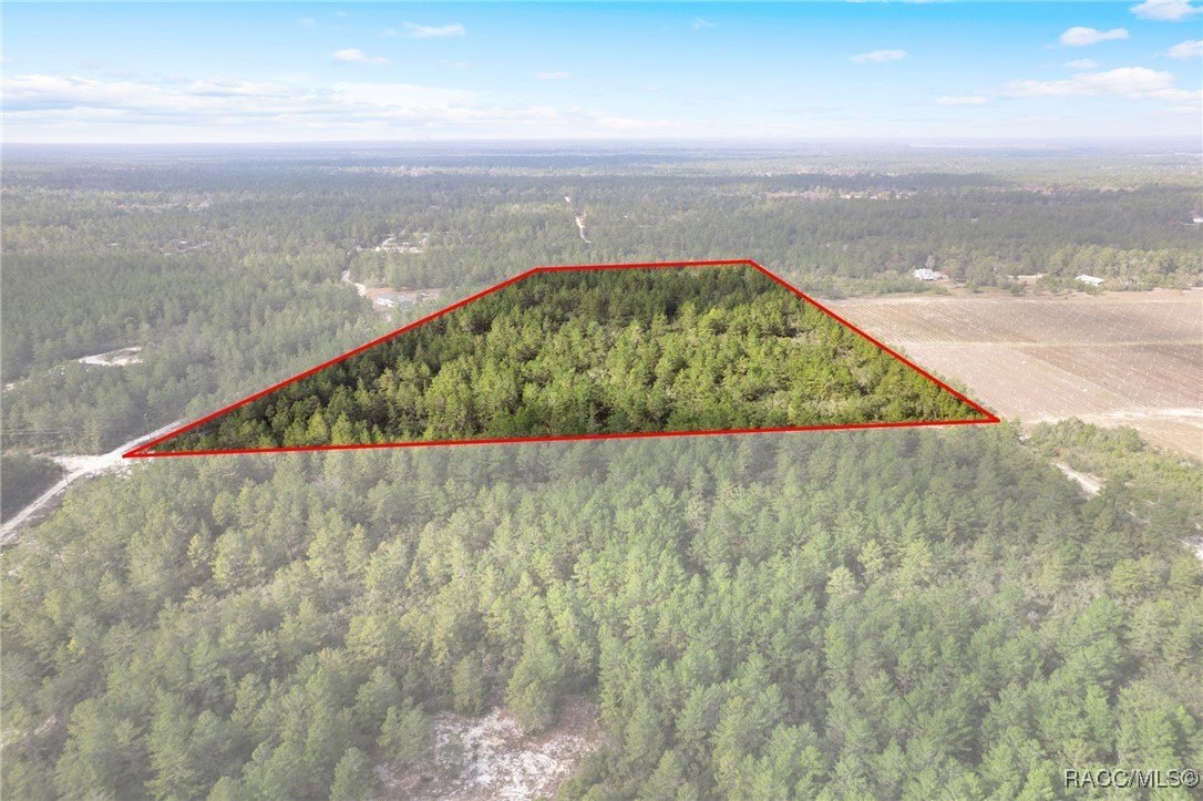 Dunnellon, Florida, 34433, United States, 4 Bedrooms Bedrooms, ,3 BathroomsBathrooms,Residential,For Sale,2008614