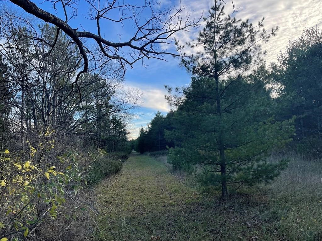 Baileys Harbor, Wisconsin, 54202, United States, ,Land,For Sale,1987673