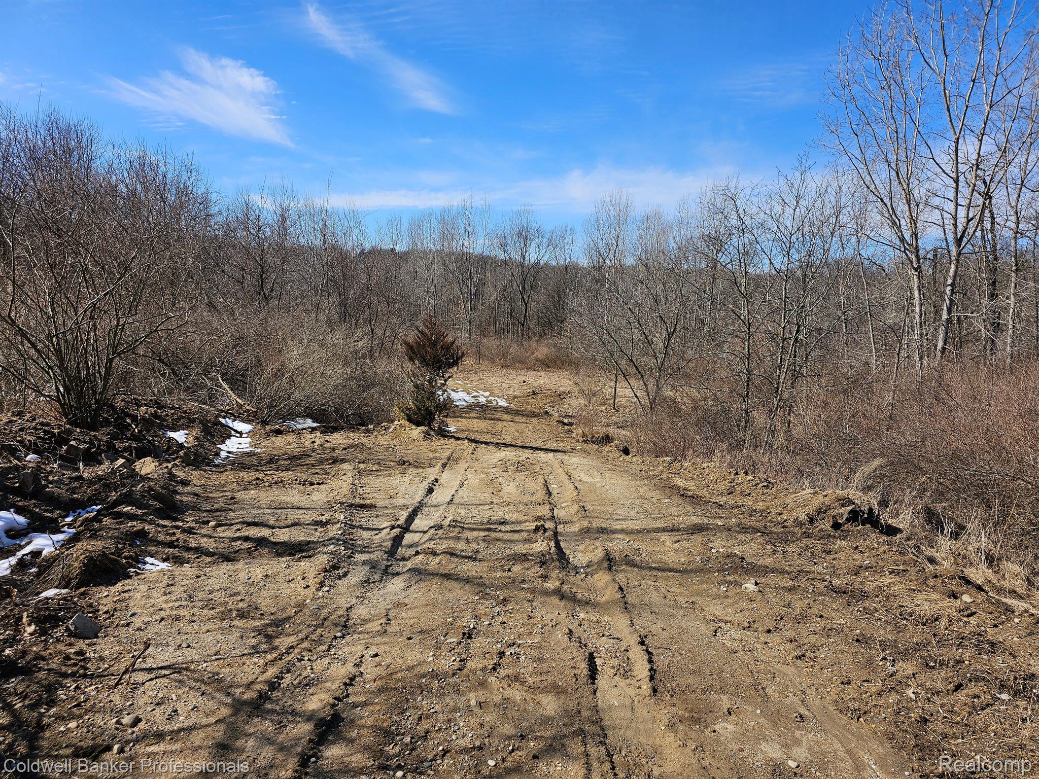 Metamora, Michigan, 48455, United States, ,Land,For Sale,1736755