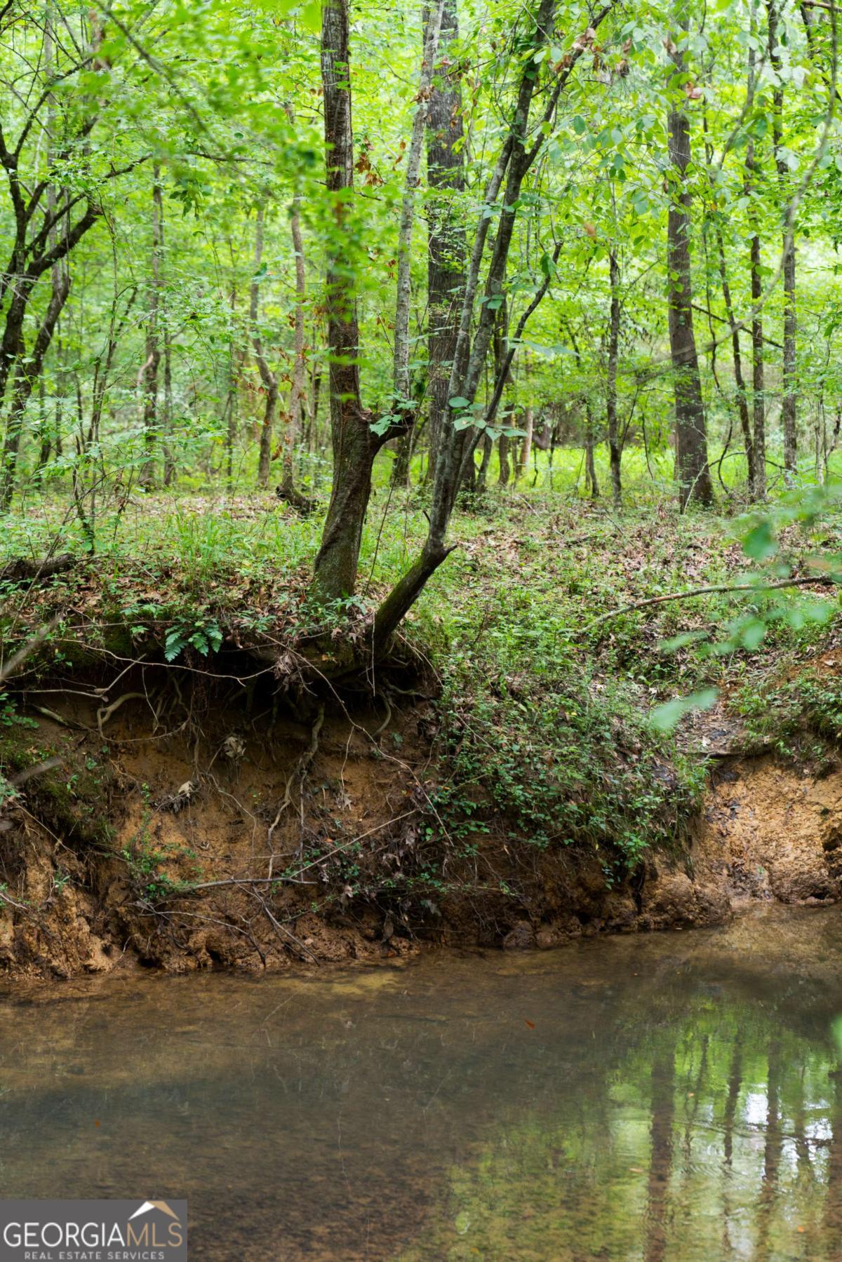 Rome, Georgia, 30165, United States, ,Land,For Sale,1890078