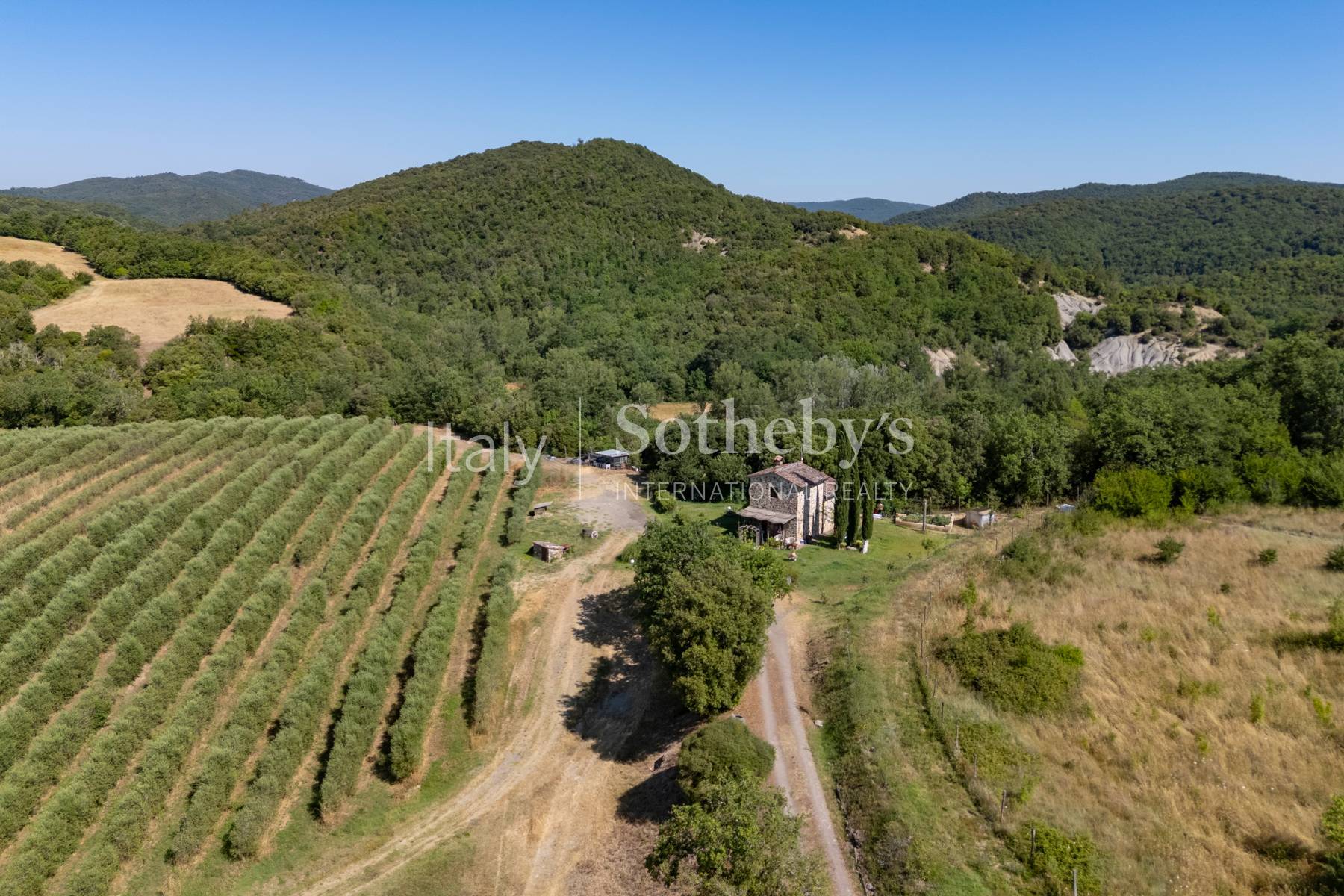  Tuscan estate with vineyards and winery - 物件實景