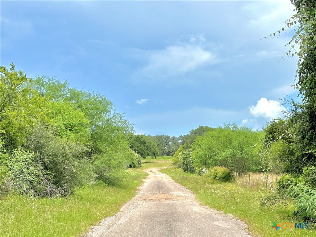 Nursery, Texas, 77976, United States, ,Land,For Sale,1885536