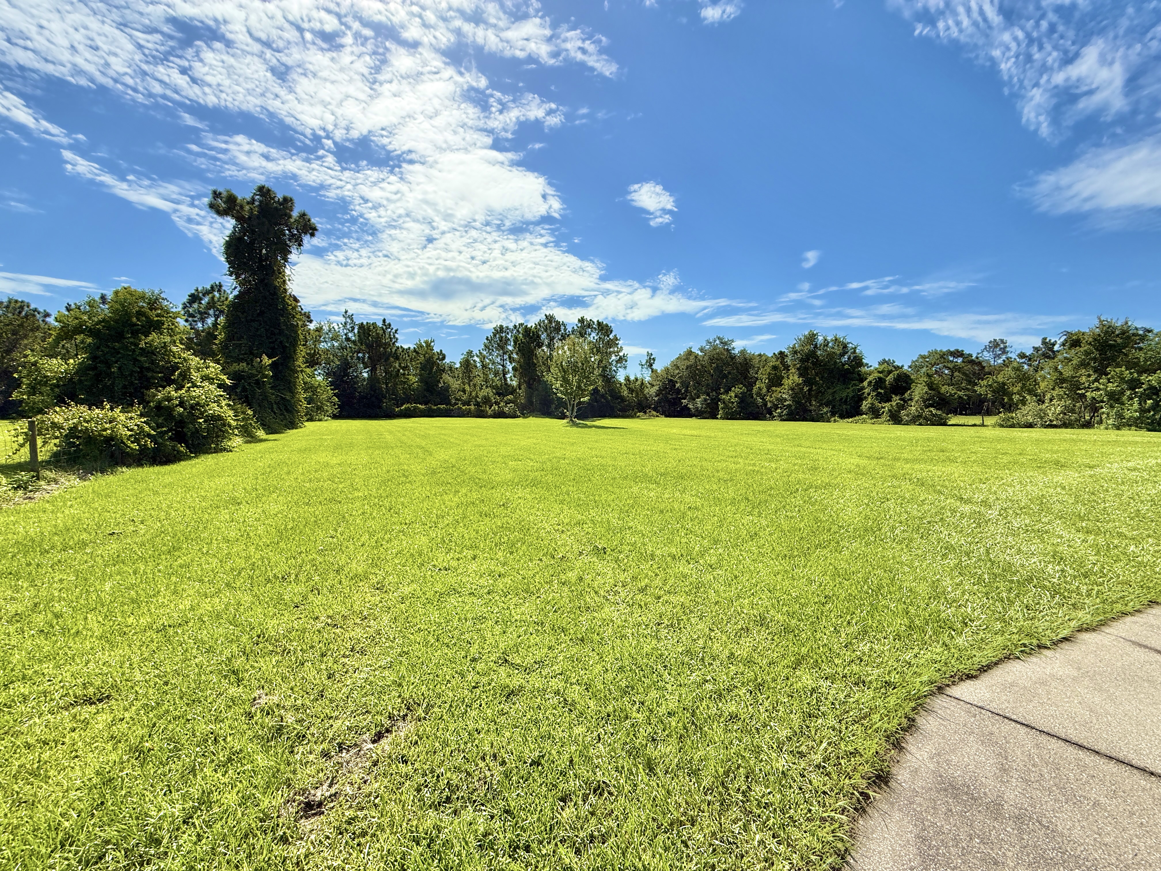 St Cloud, Florida, 34772, United States, 3 Bedrooms Bedrooms, ,2 BathroomsBathrooms,Residential,For Sale,1942635