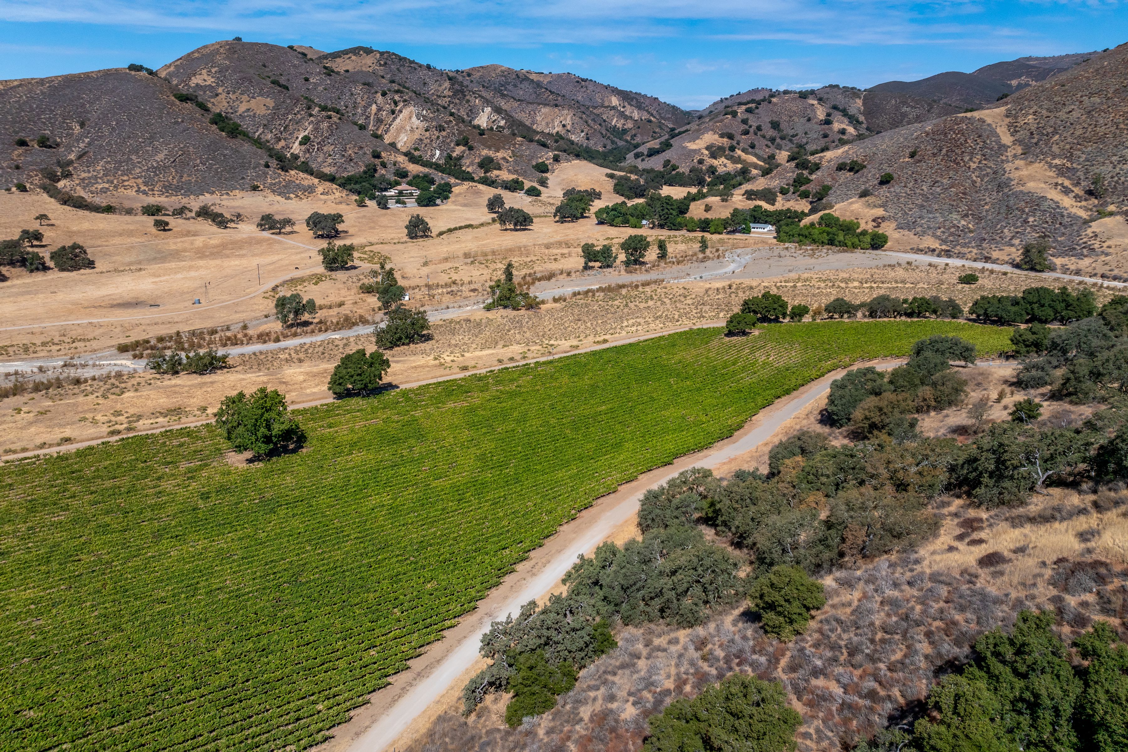  Extraordinary Vineyard Estate - 物件實景