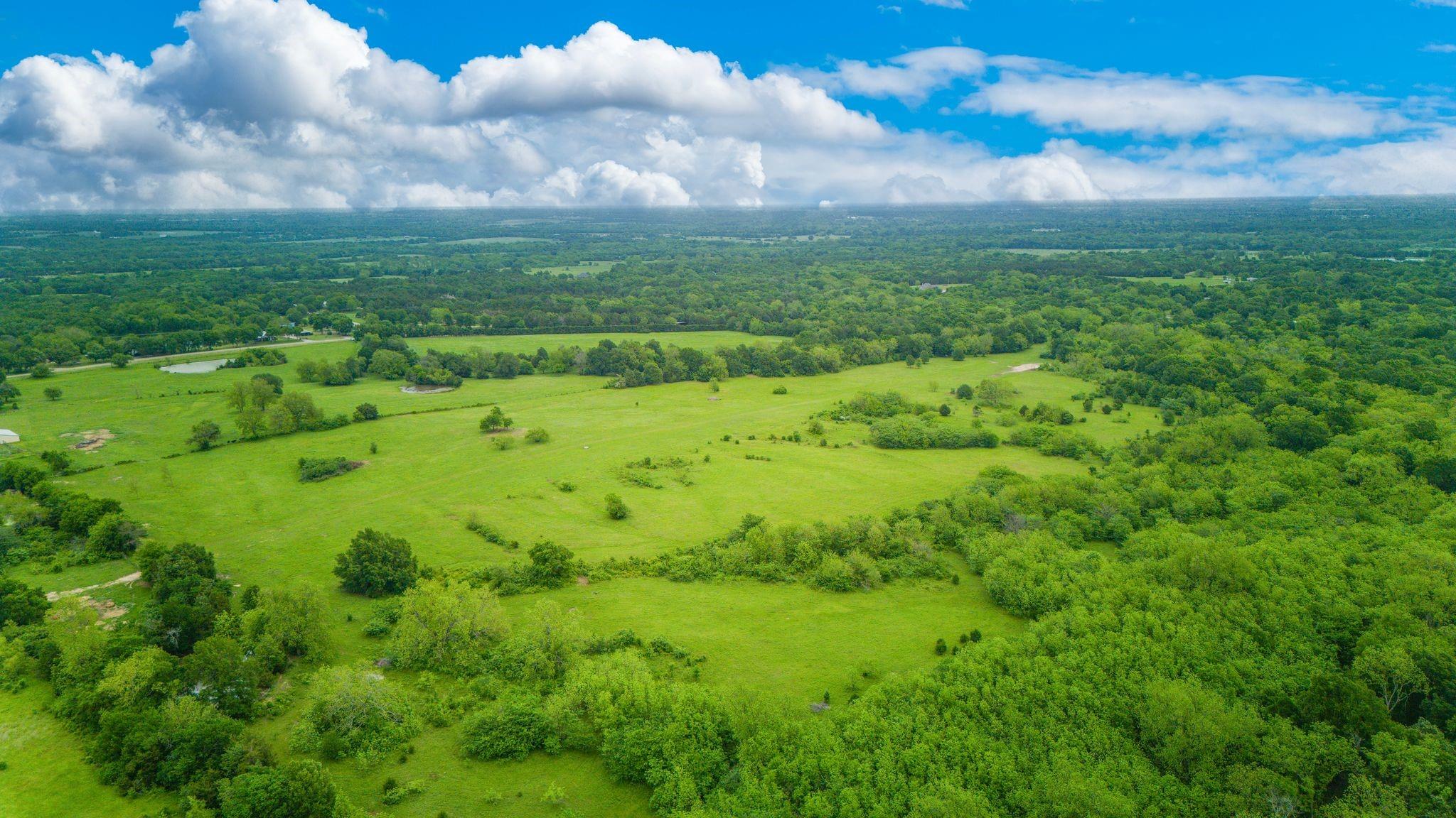 Celeste, Texas, 75423, United States, ,Land,For Sale,1977451