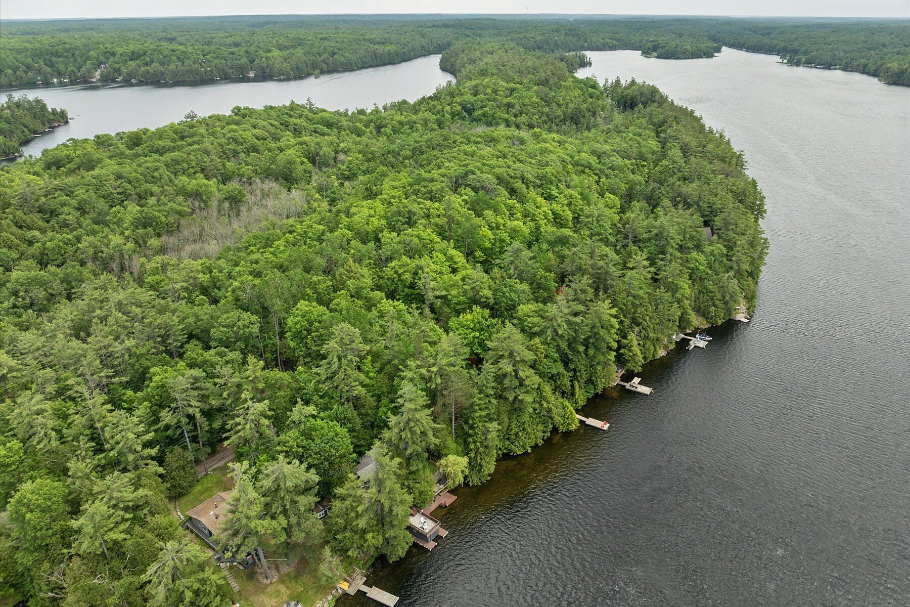  Charming Gem on Moore Lake - 物件實景