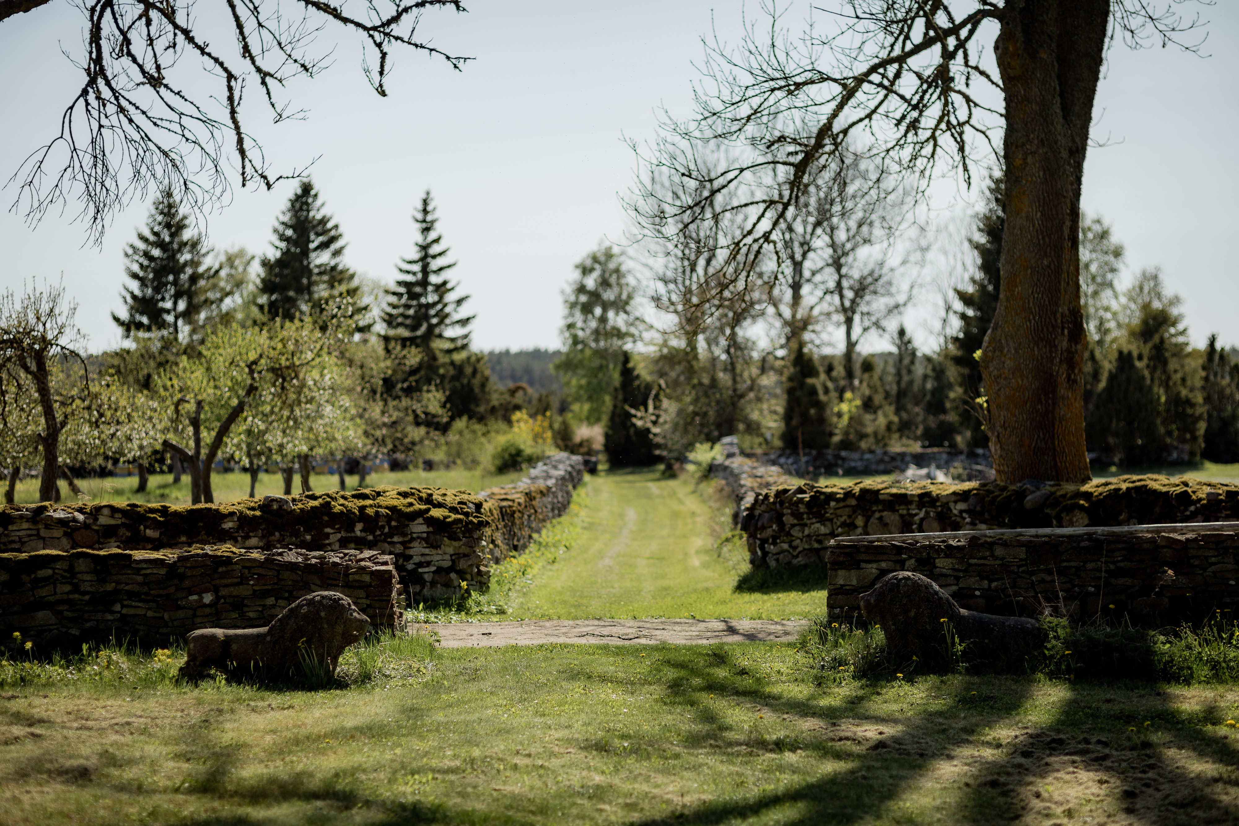  Pilguse Residency - a historic 90-hectare eco-luxury estate - 物件實景