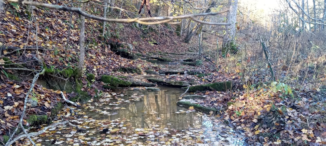 Willow Shade, Kentucky, 42166, United States, 3 Bedrooms Bedrooms, ,2 BathroomsBathrooms,Residential,For Sale,1991903