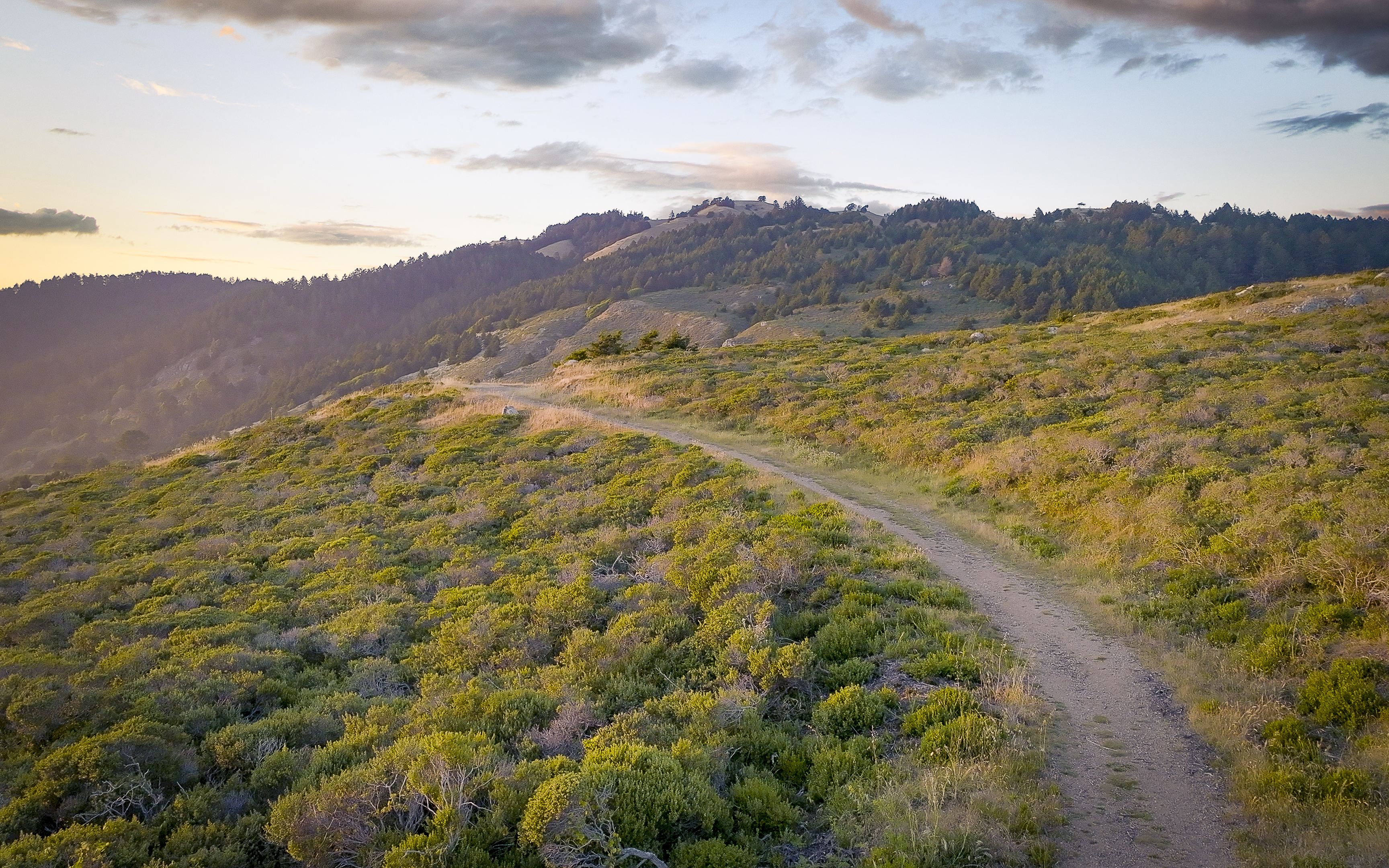  Refined Sensibility in Stinson Beach - 物件實景