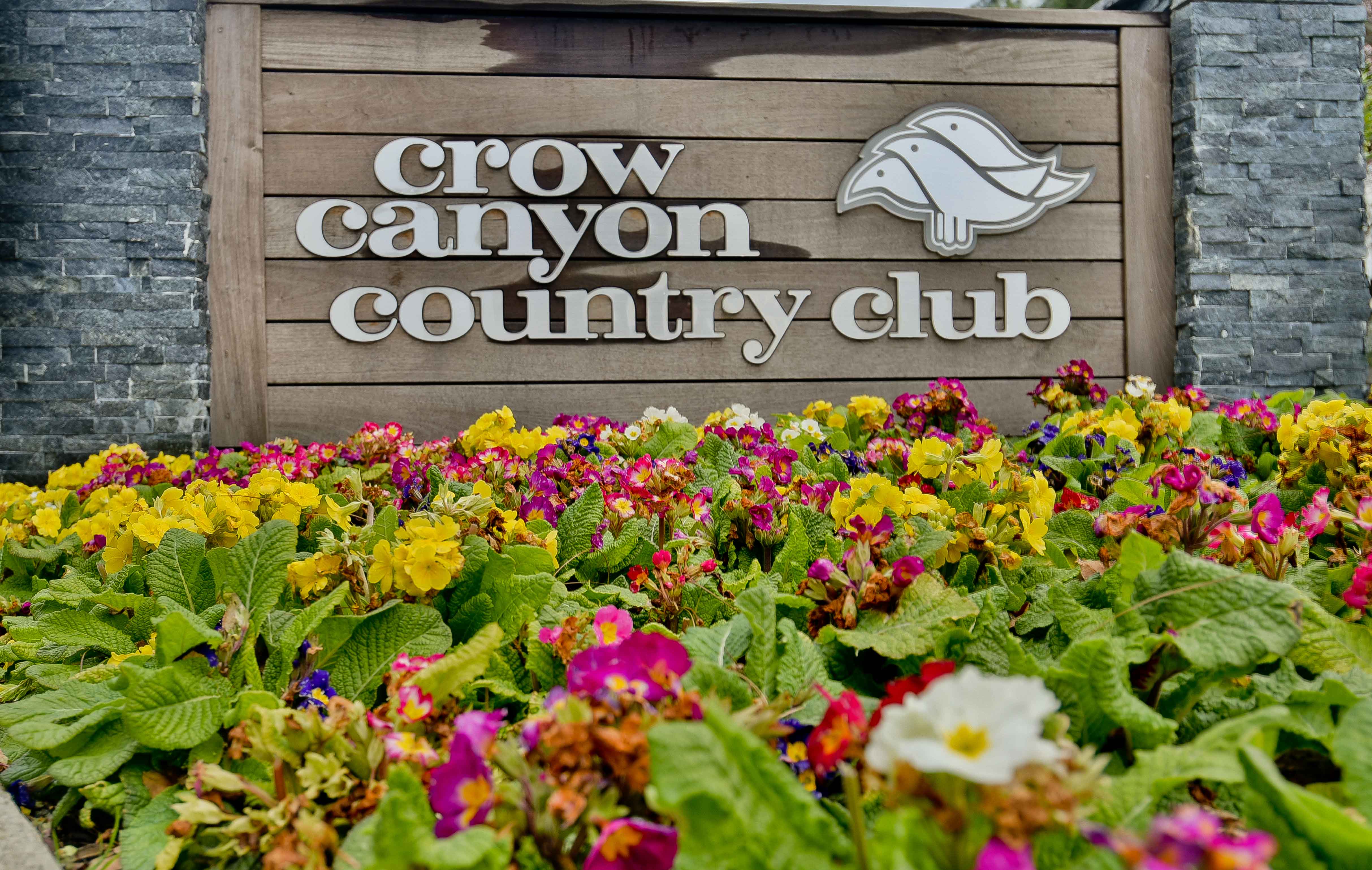  Elegant Resort-Style Living in Prestigious Crow Canyon Country Club - 物件實景