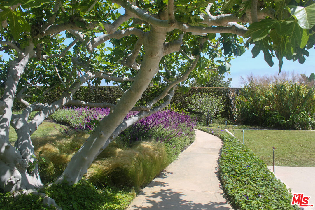 Malibu, California, 90265, United States, 8 Bedrooms Bedrooms, ,9 BathroomsBathrooms,Residential,For Sale,1847980