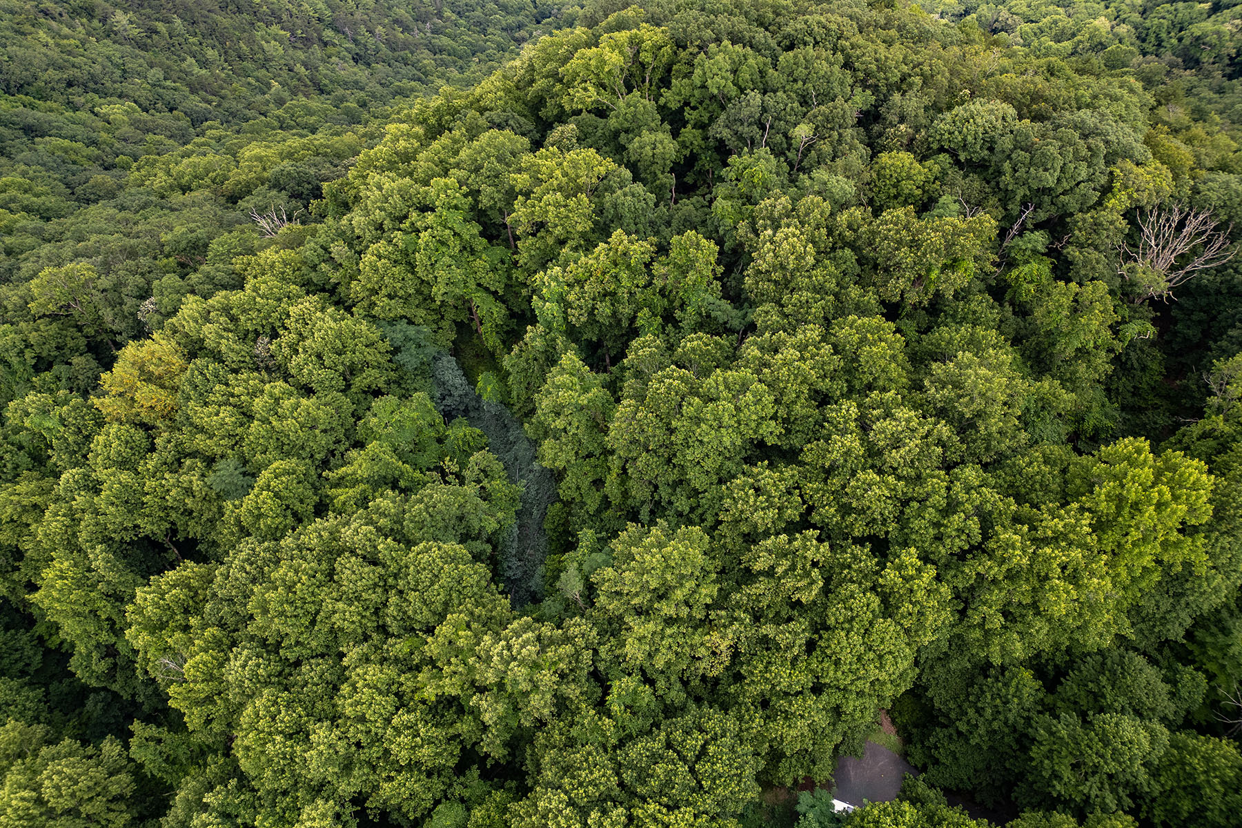  THE ORCHARDS OF MAYVIEW - BLOWING ROCK - 物件實景