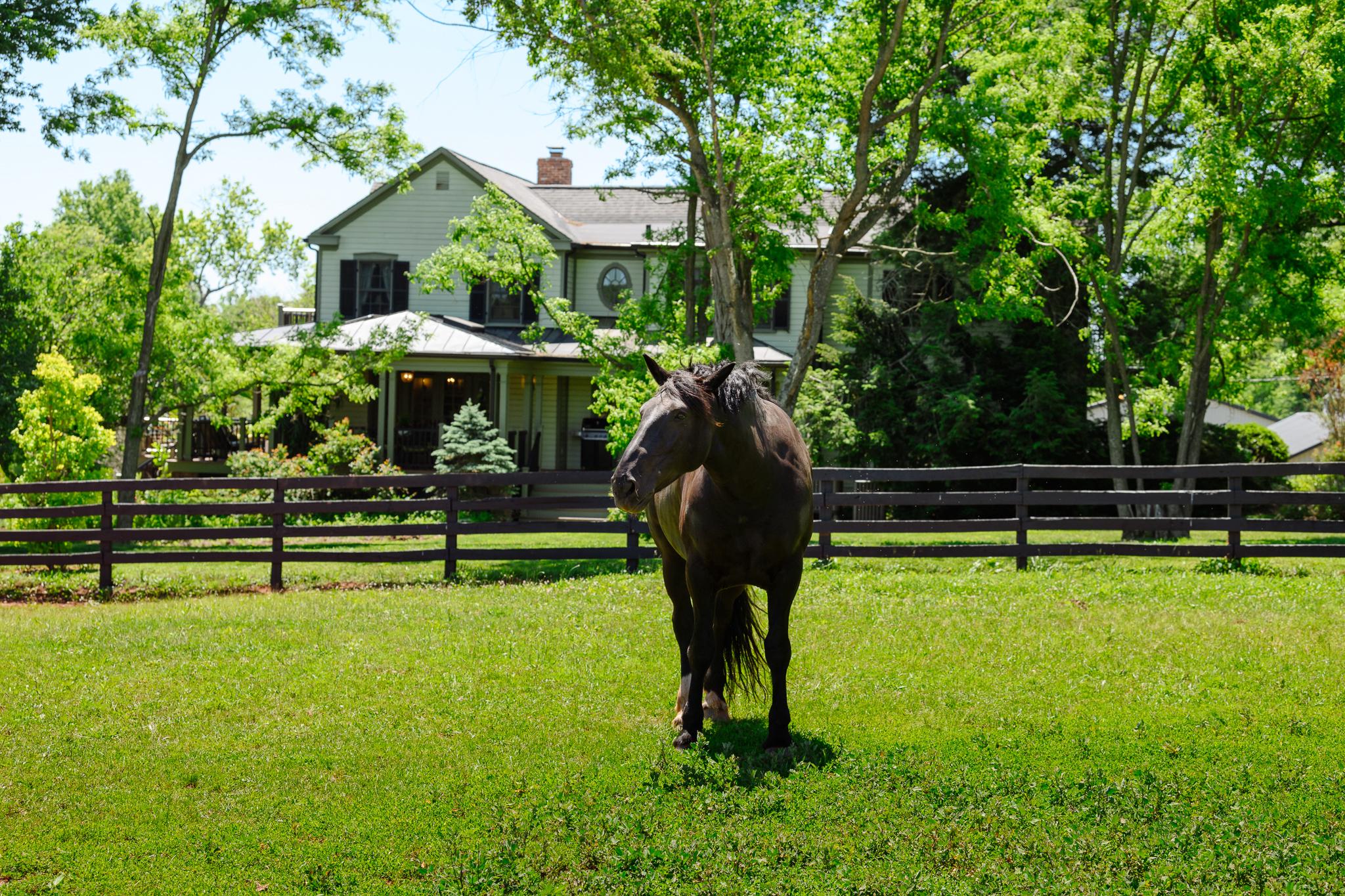  18101 Cattail Road, Poolesville, MD, 20837 - 物件實景