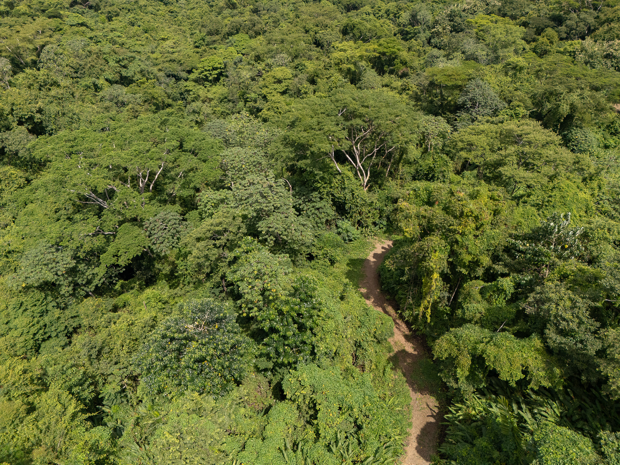 Cabuya, Puntarenas, 60111, CR, ,Land,For Sale,1999062