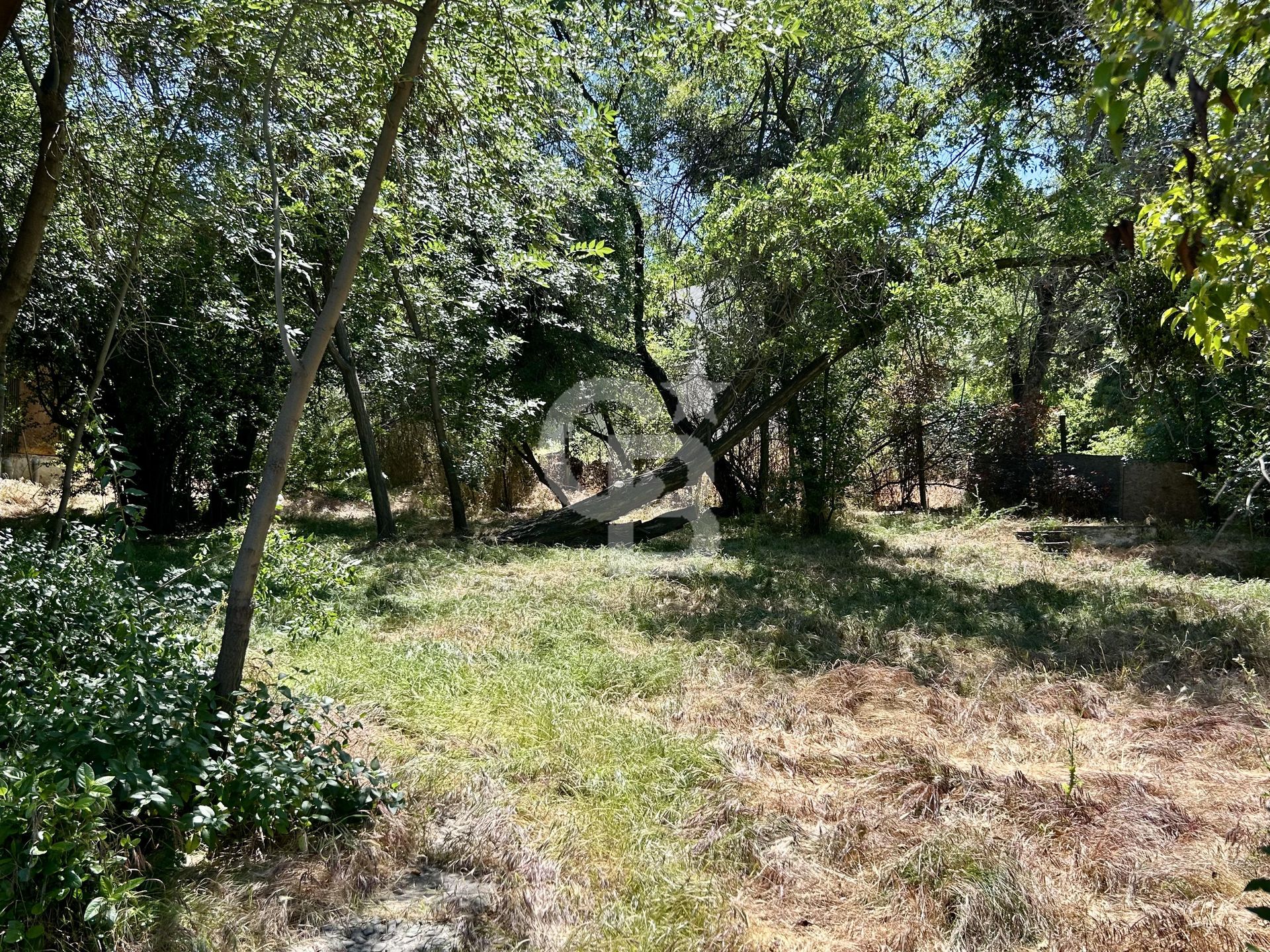 Vitacura, Chile, 4 Bedrooms Bedrooms, ,4 BathroomsBathrooms,Land,For Sale,1998836