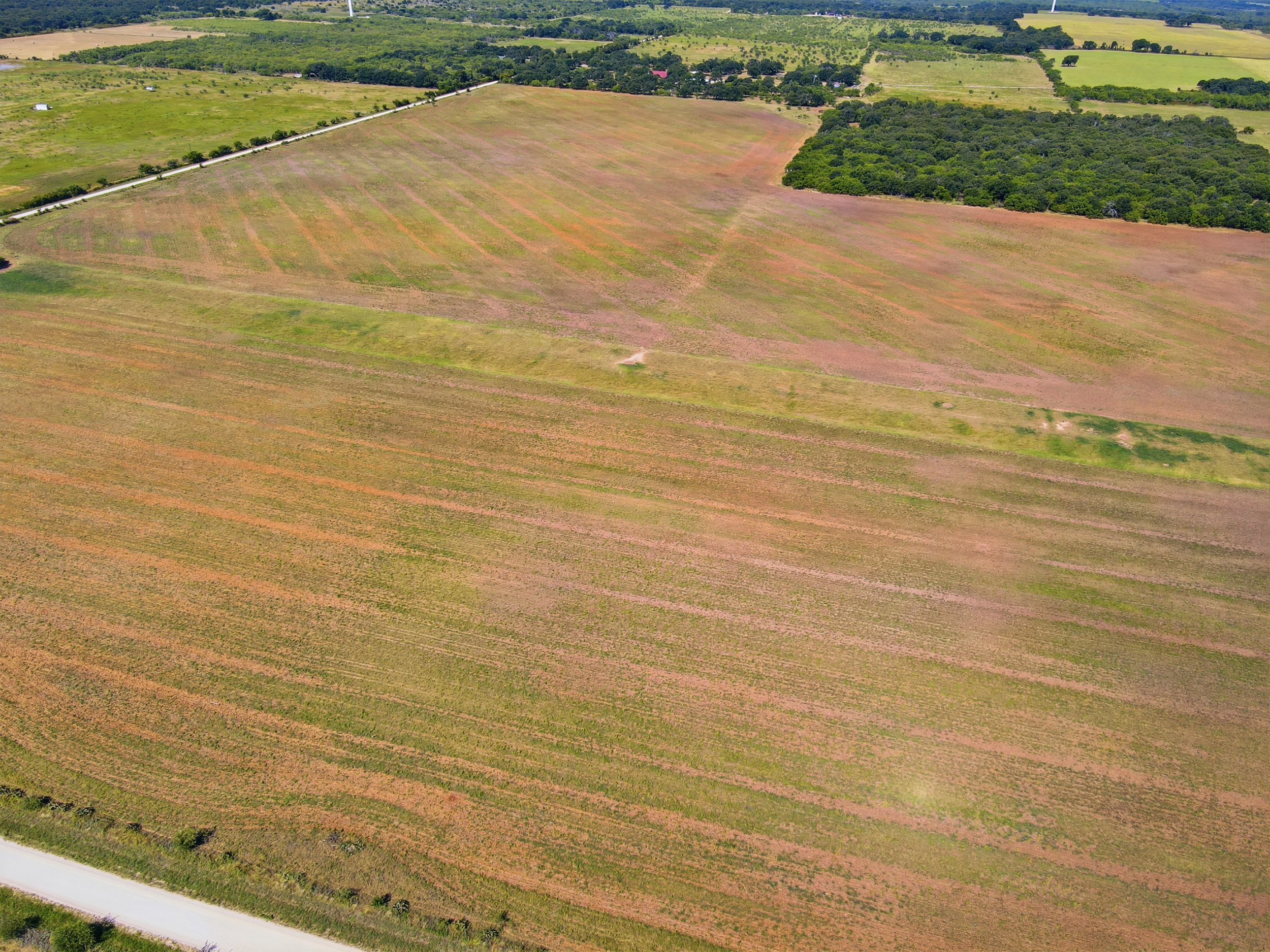  125 Acres of Texas Land for Recreation and Retreat - 物件實景