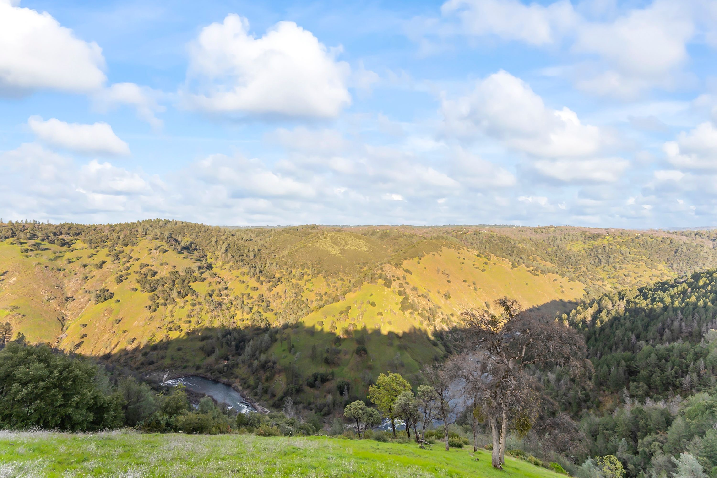  River Views • Pool • A Striking Estate That Makes a Statement - 物件實景