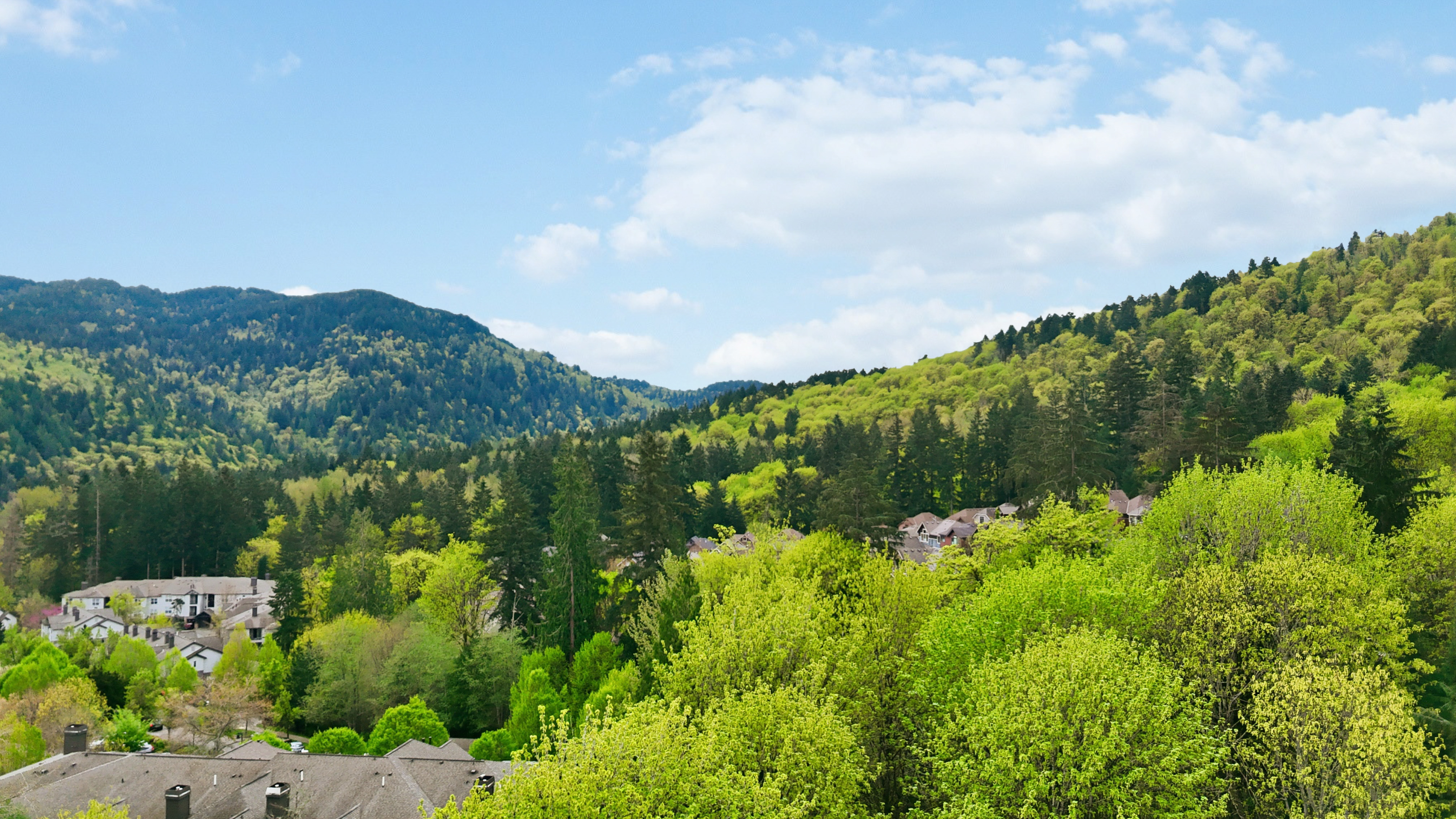  2225 Northwest Moraine Place, Issaquah, WA 98027 - 物件實景