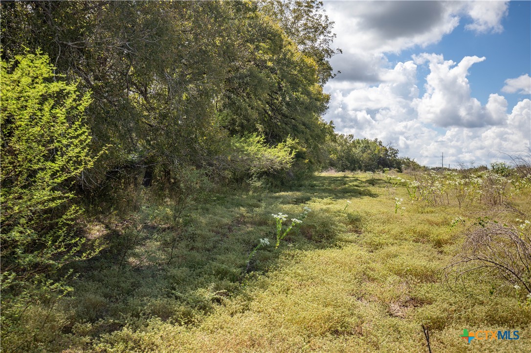 Cuero, Texas, 77954, United States, ,Residential,For Sale,1949163