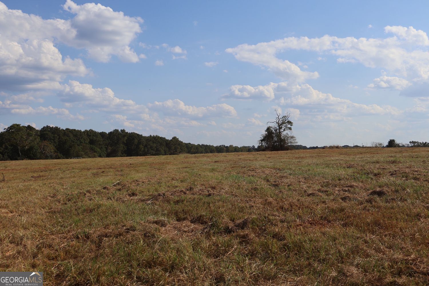 The Rock, Georgia, 30285, United States, ,Land,For Sale,1963371