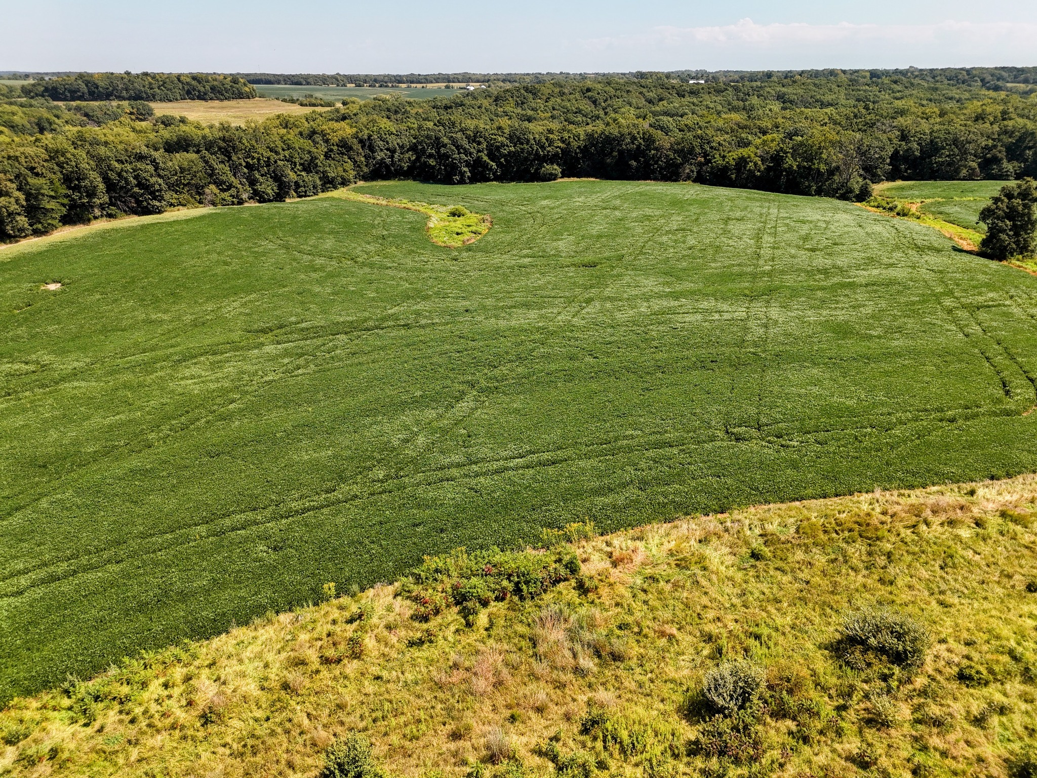 Monroe City, Missouri, 63456, United States, ,Land,For Sale,1980469