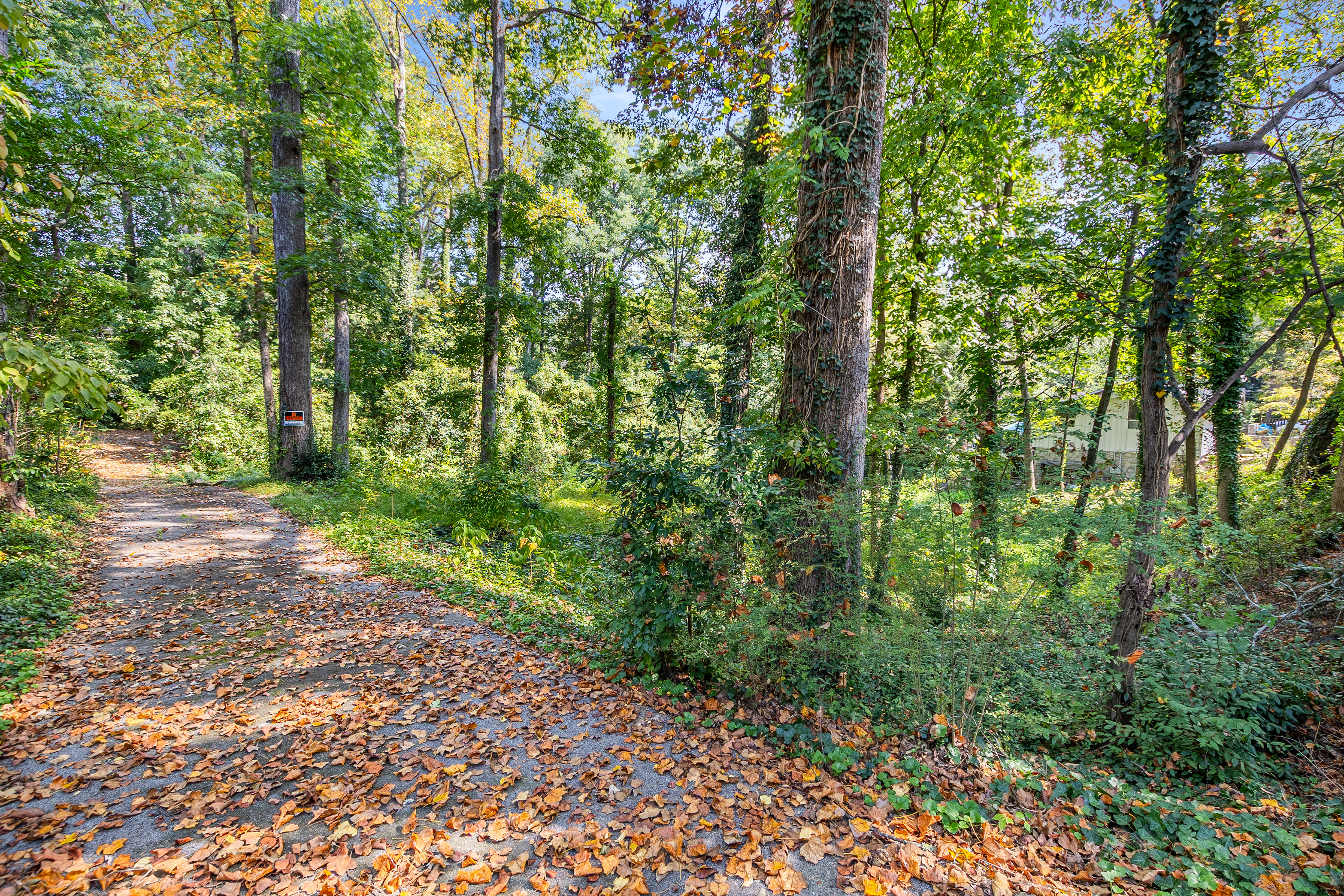  Three Contiguous Lots for New Construction in Historic Druid Hills - 物件實景
