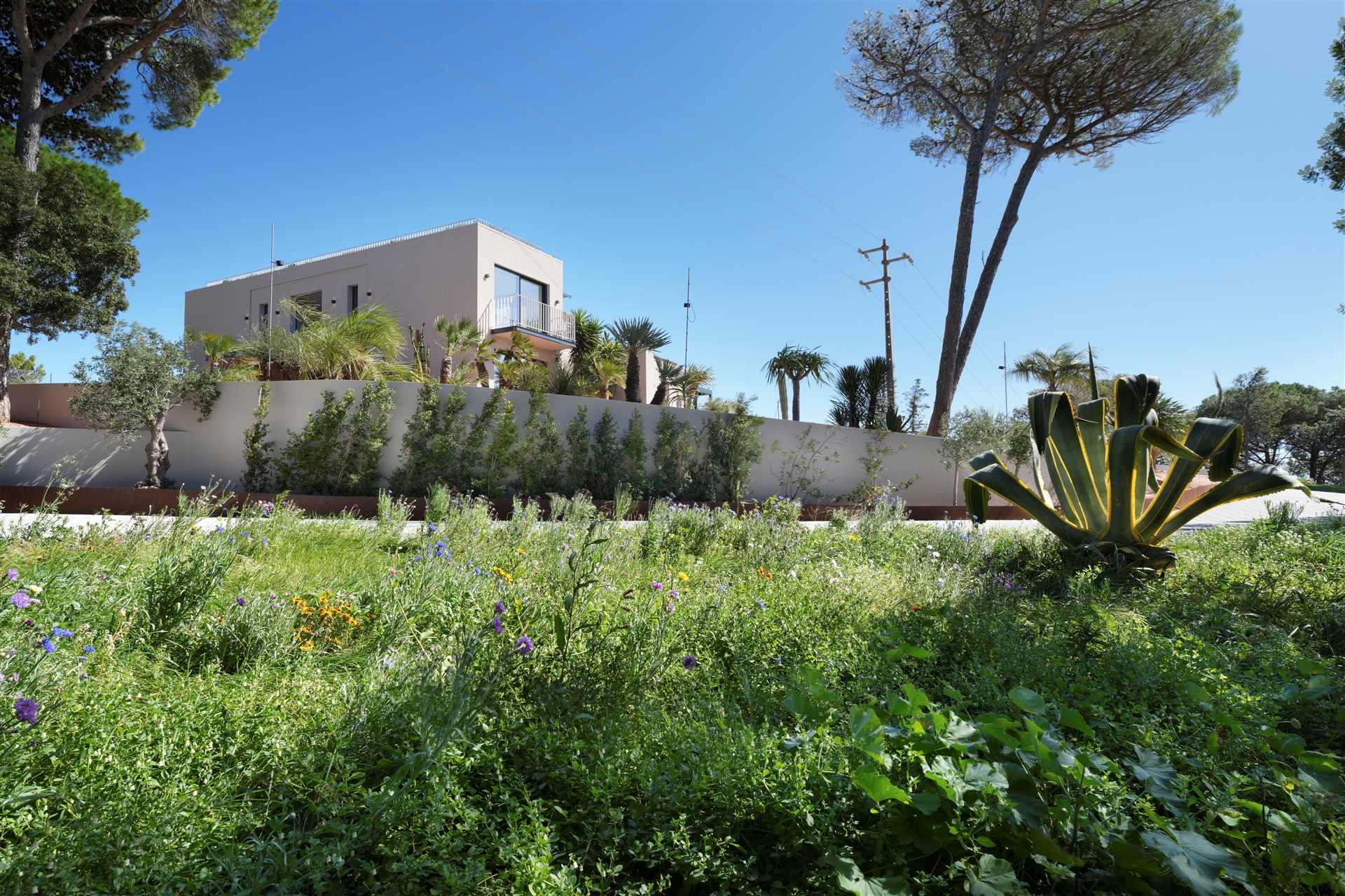  Detached house, 5 bedrooms, for Sale - 物件實景