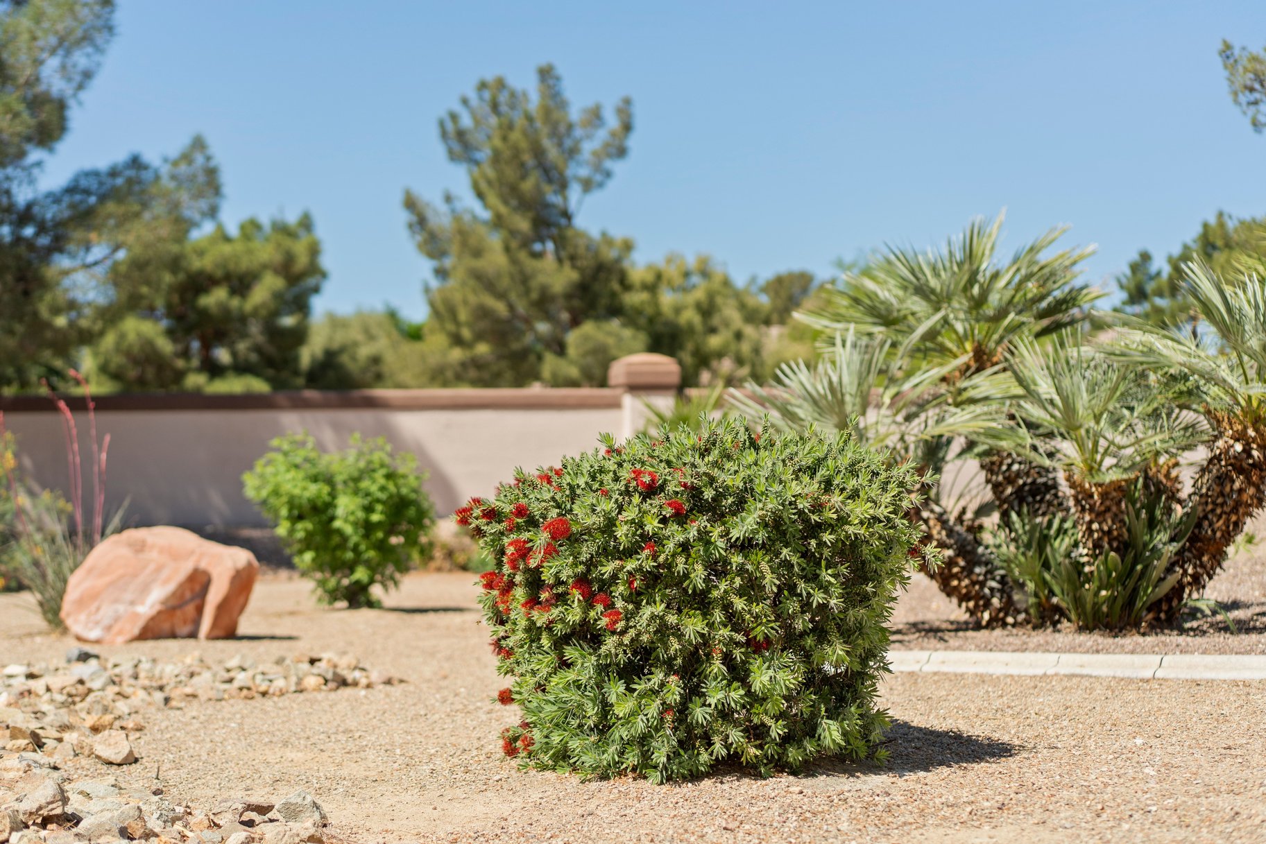  New to Market - 物件實景