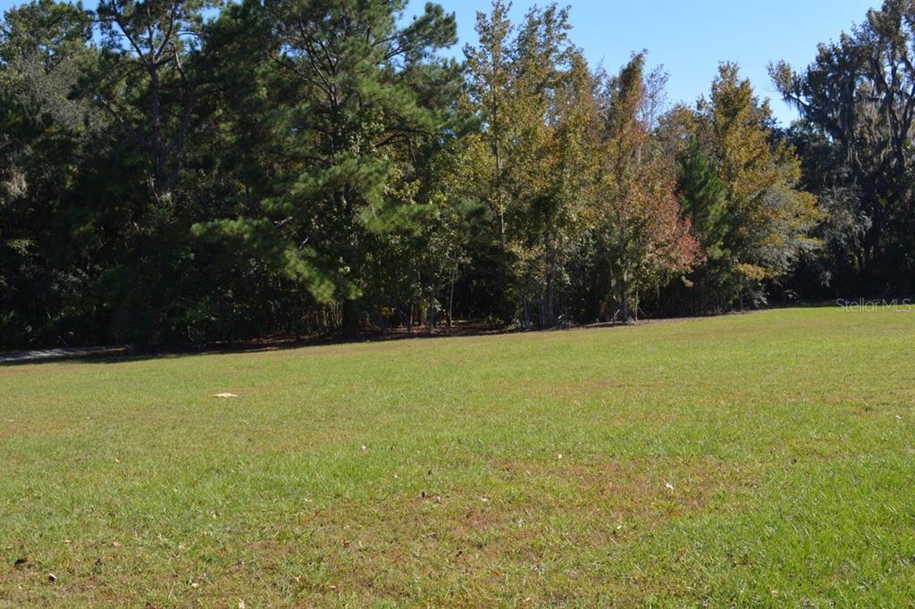 Sanford, Florida, 32773, United States, ,Land,For Sale,1987674