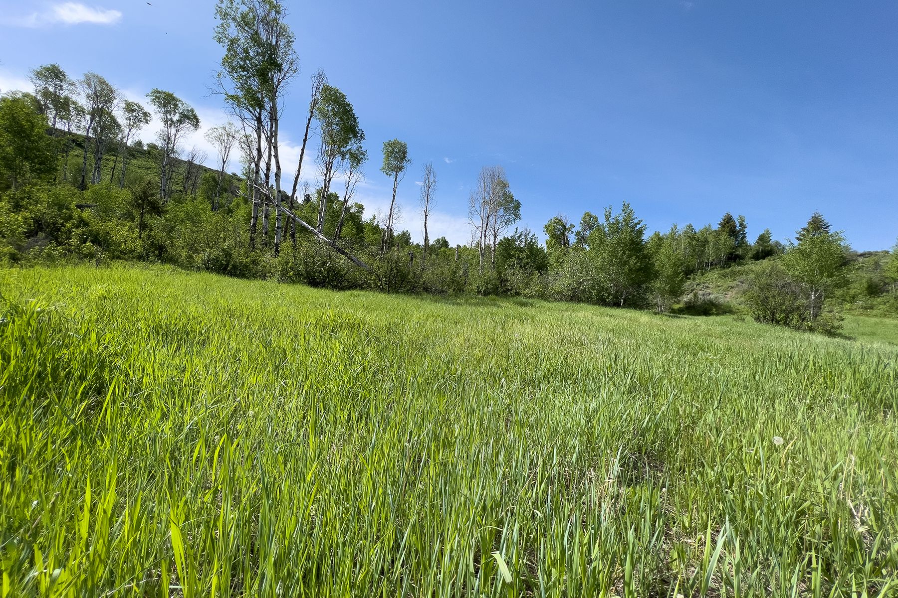  Rodeo Road - 物件實景