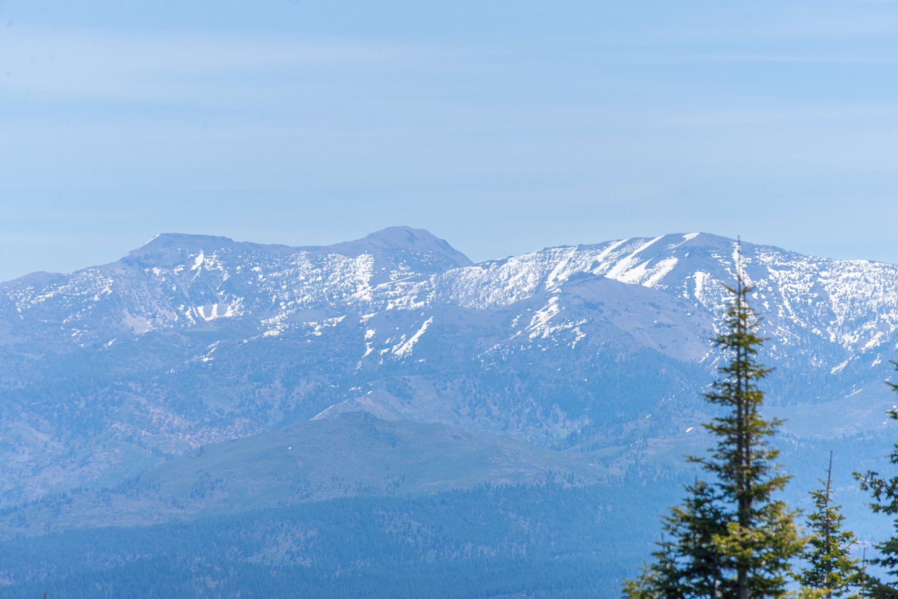  Beautiful Log Home with Carson Range Views from Every Floor - 物件實景