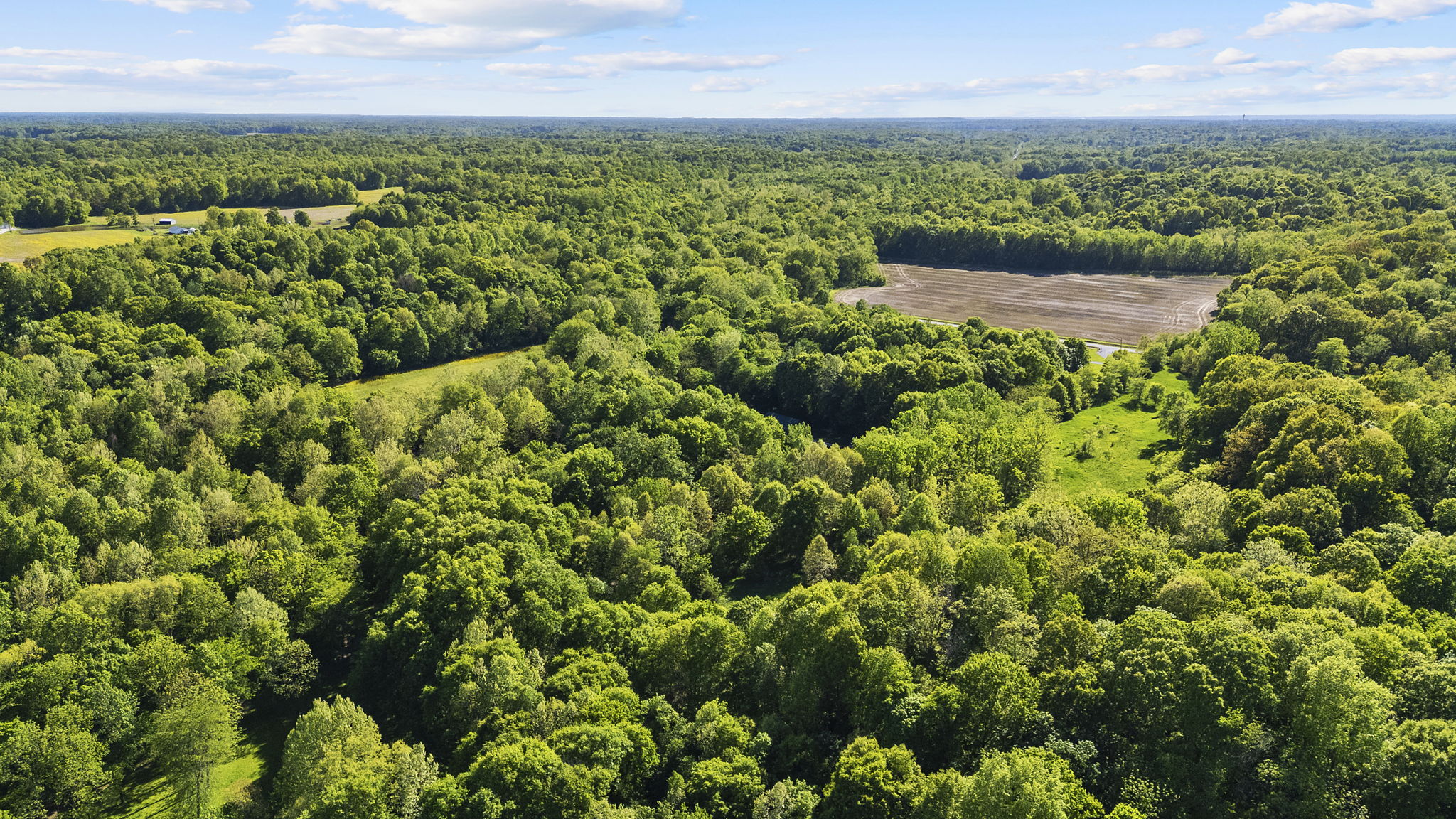Rosedale, Indiana, 47874, United States, ,Land,For Sale,2049036