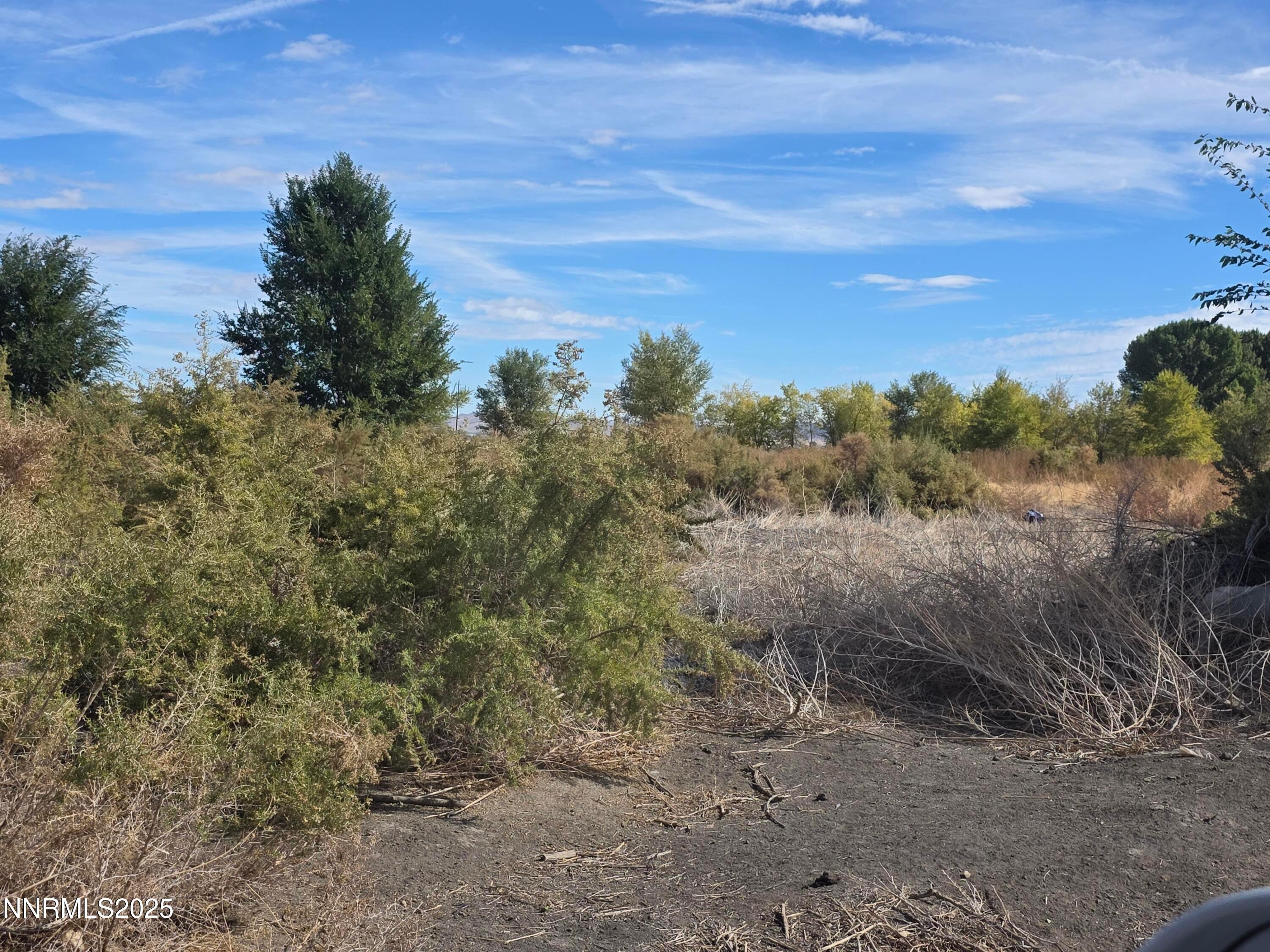 Yerington, Nevada, 89447, United States, ,Residential,For Sale,1987717