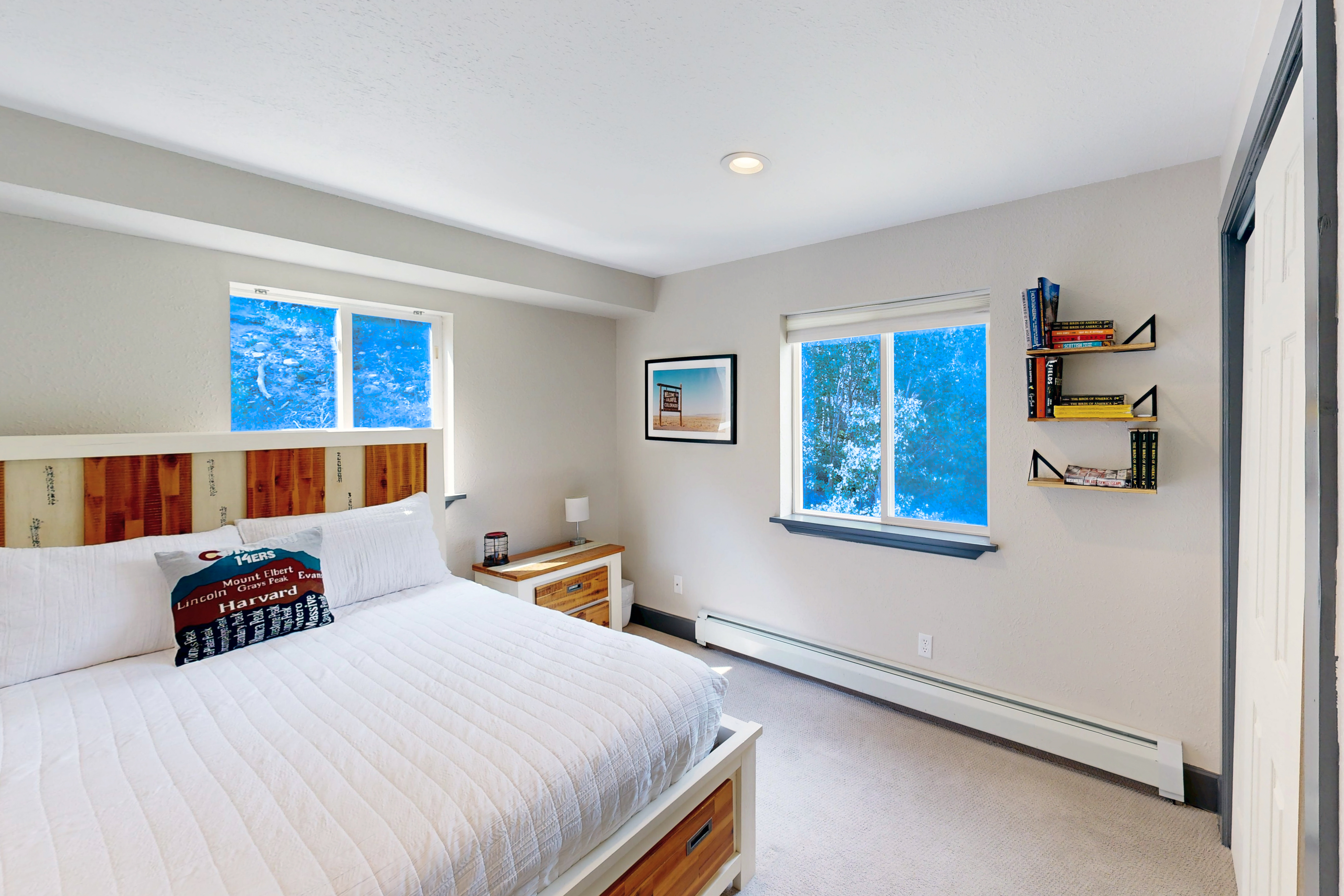  1095 Quartzville,Alma, CO, 80420 - 物件實景