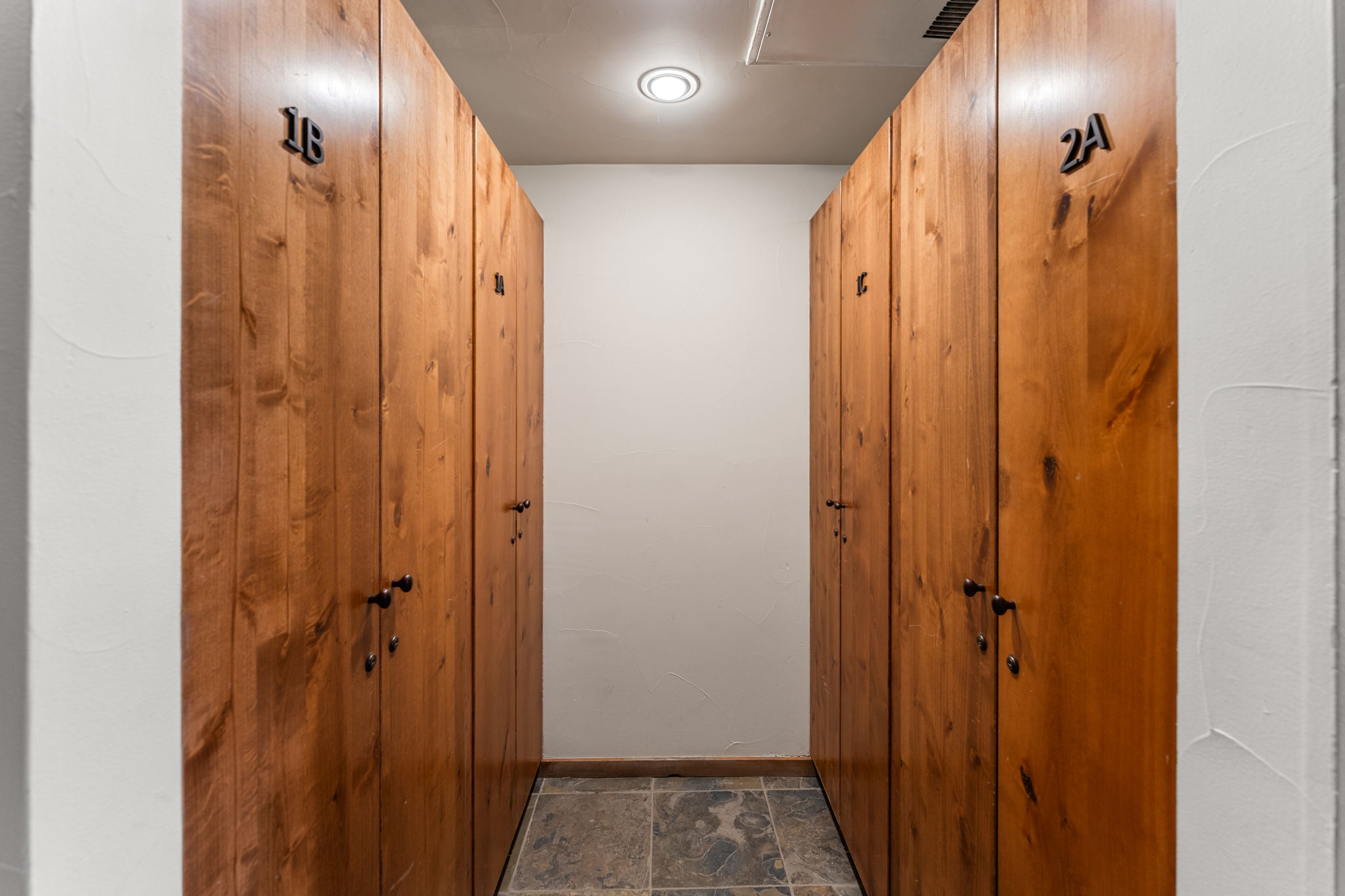  621 Gothic Road, Unit 2A, Mt. Crested Butte, CO 81225 - 物件實景