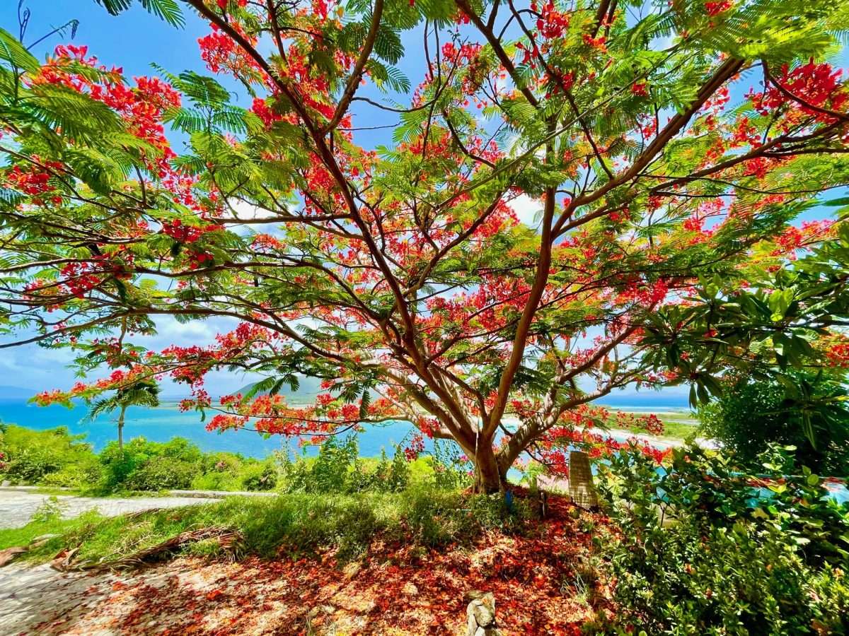 Tortola, VG, 6 Bedrooms Bedrooms, ,5 BathroomsBathrooms,Residential,For Sale,1991322