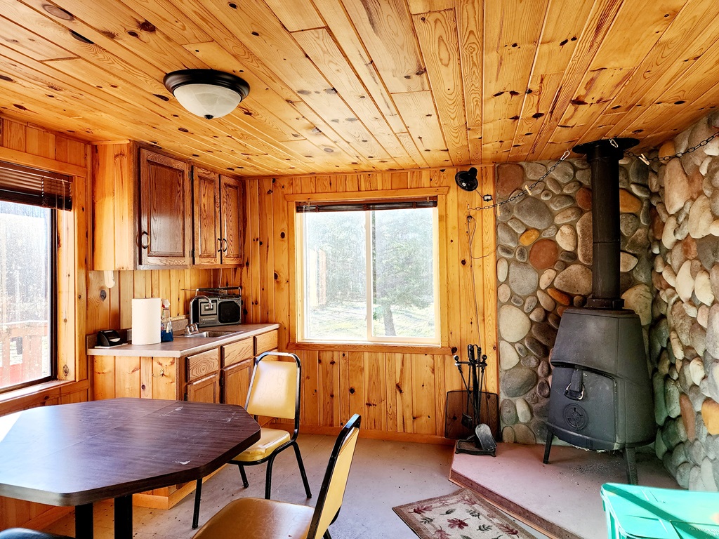 Grand Rapids, Minnesota, 55744, United States, ,Land,For Sale,1983791