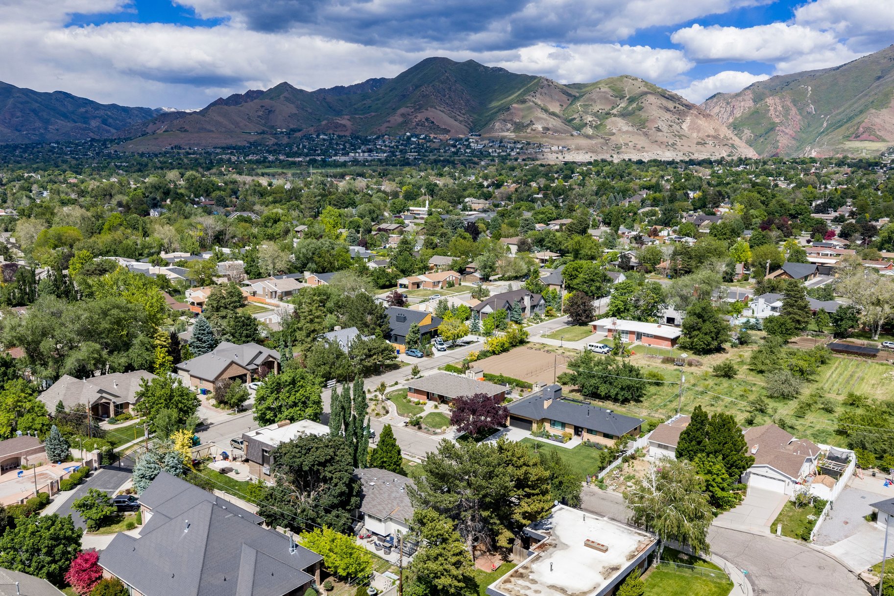  Modernized Millcreek Rambler with Open Living & Private Backyard - 物件實景