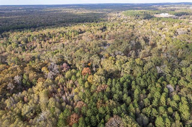 Winona, Texas, 75792, United States, 4 Bedrooms Bedrooms, ,3 BathroomsBathrooms,Residential,For Sale,1996404