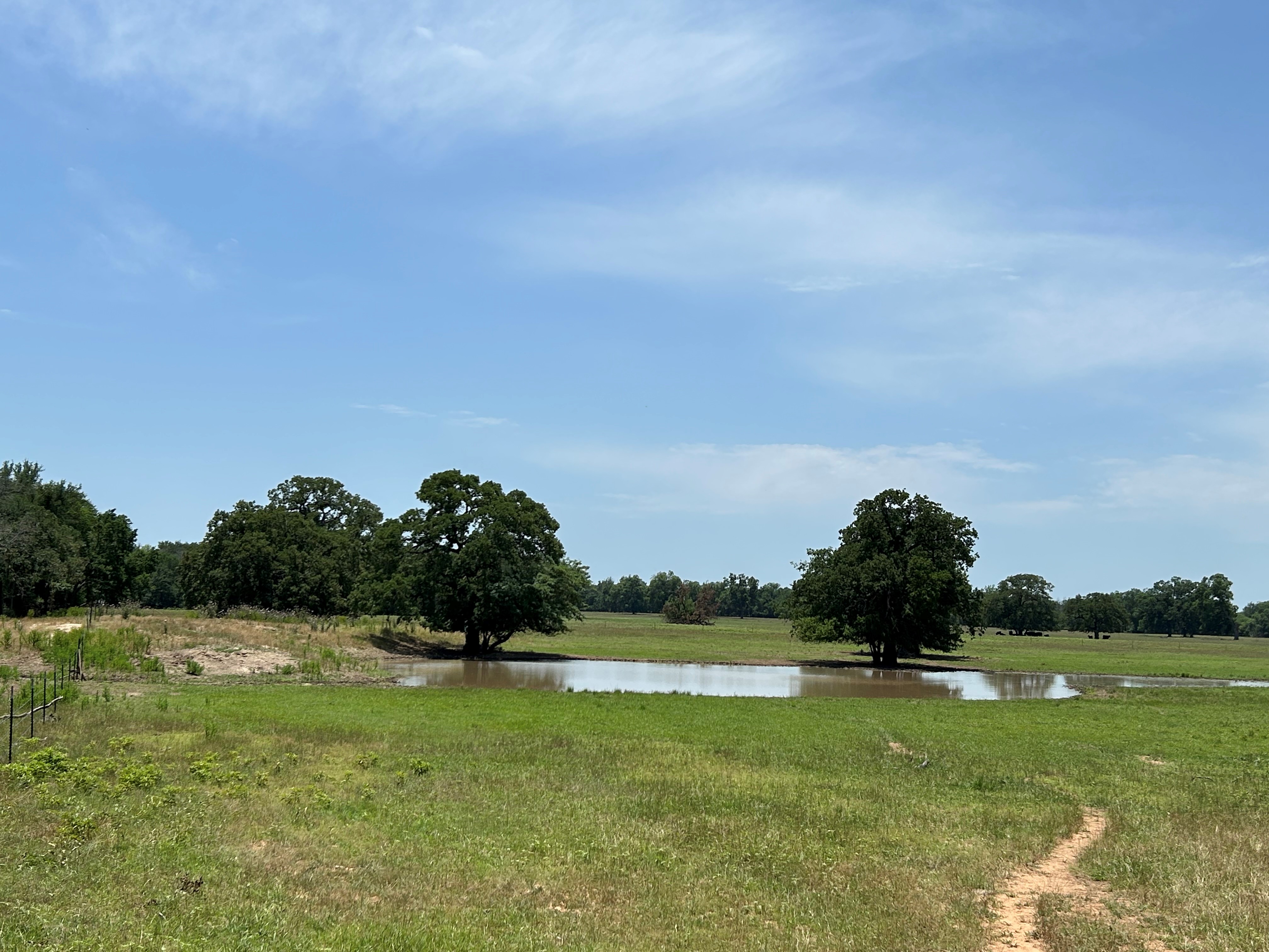Bridgeport, Texas, 76426, United States, 4 Bedrooms Bedrooms, ,3 BathroomsBathrooms,Residential,For Sale,1701236