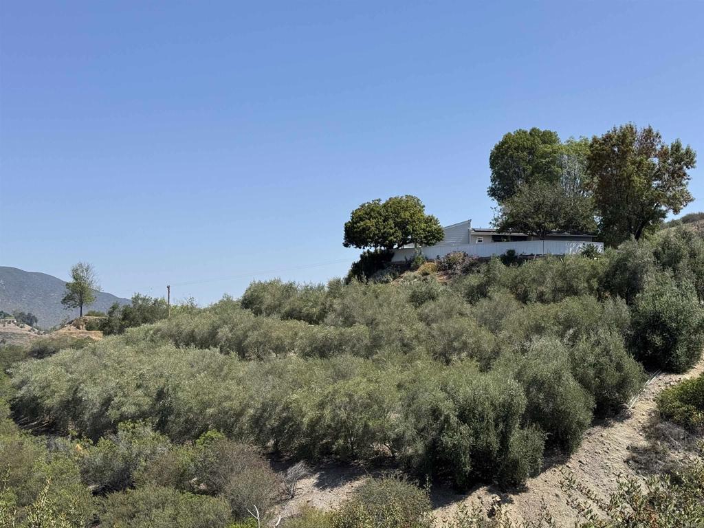 Fallbrook, California, 92028, United States, 2 Bedrooms Bedrooms, ,2 BathroomsBathrooms,Residential,For Sale,1891706