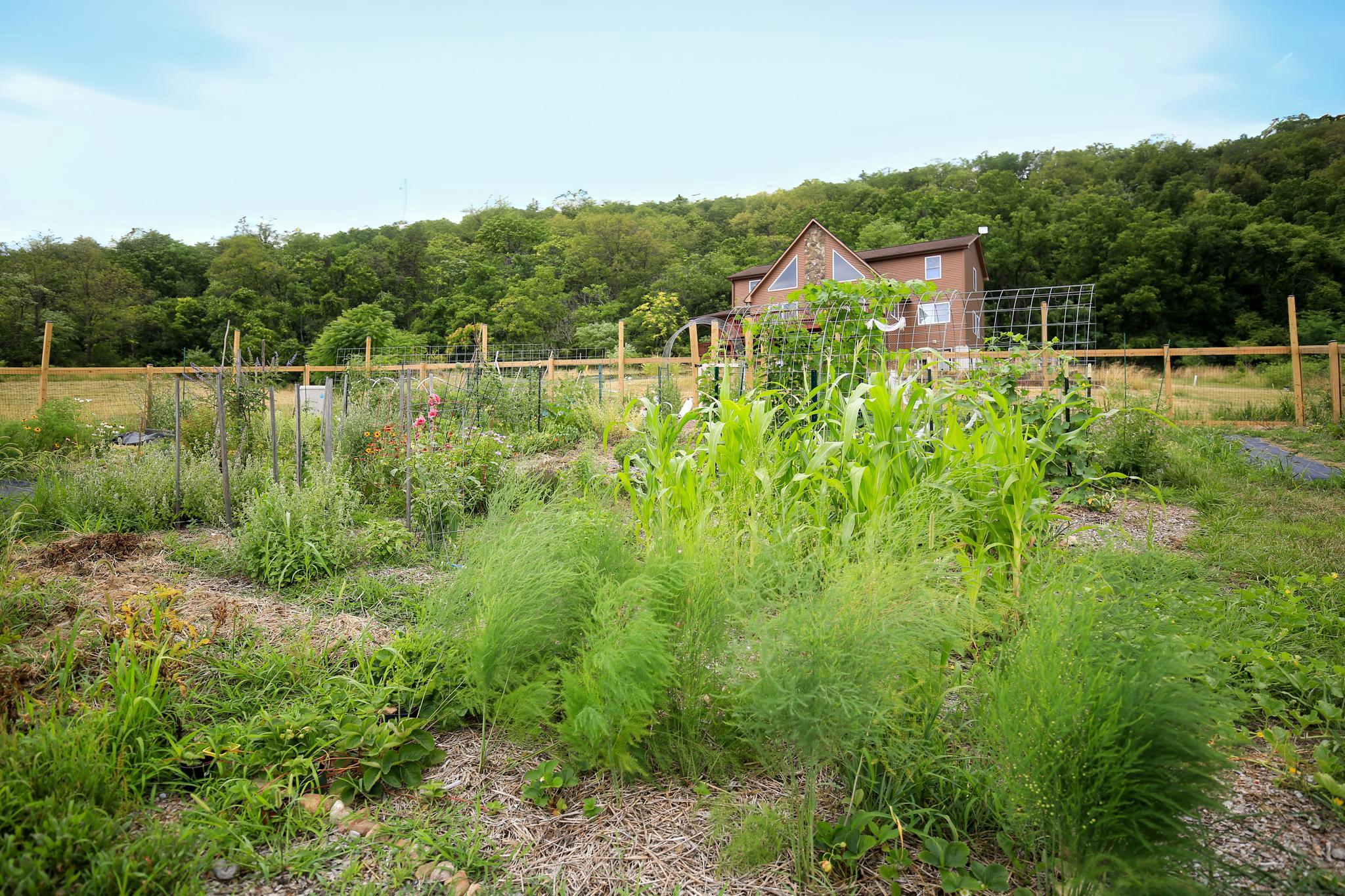  384 Lindamood Lane, Strasburg, VA, 22641 - 物件實景