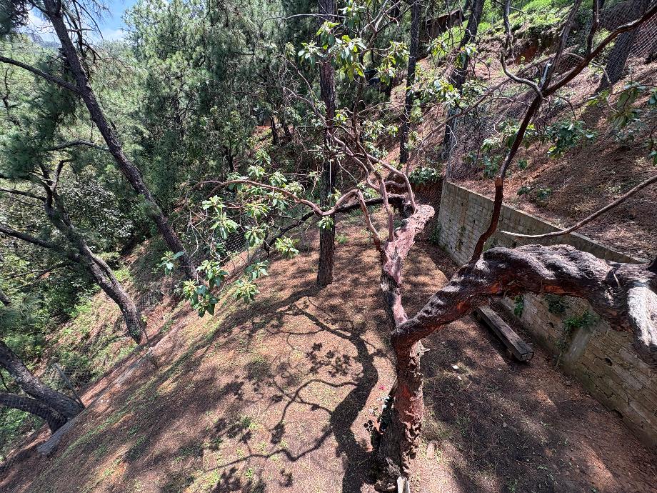Valle de Bravo, Estado de méxico, 51200, Mexico, 3 Bedrooms Bedrooms, ,2 BathroomsBathrooms,Residential,For Sale,1925478