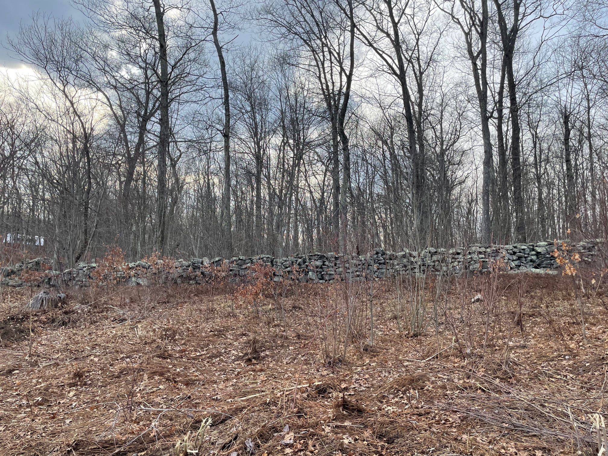  197 Tinker Hill Road - 物件實景