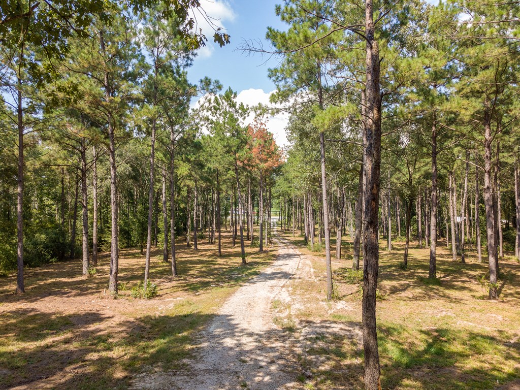 Lufkin, Texas, 75901, United States, ,1 BathroomBathrooms,Residential,For Sale,1980635