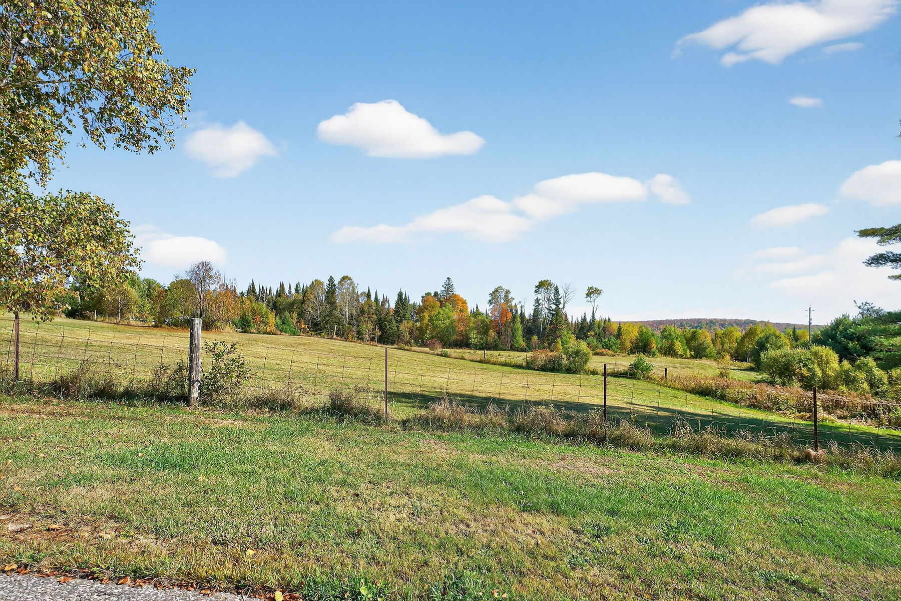  Peaceful Country Acreage - 物件實景